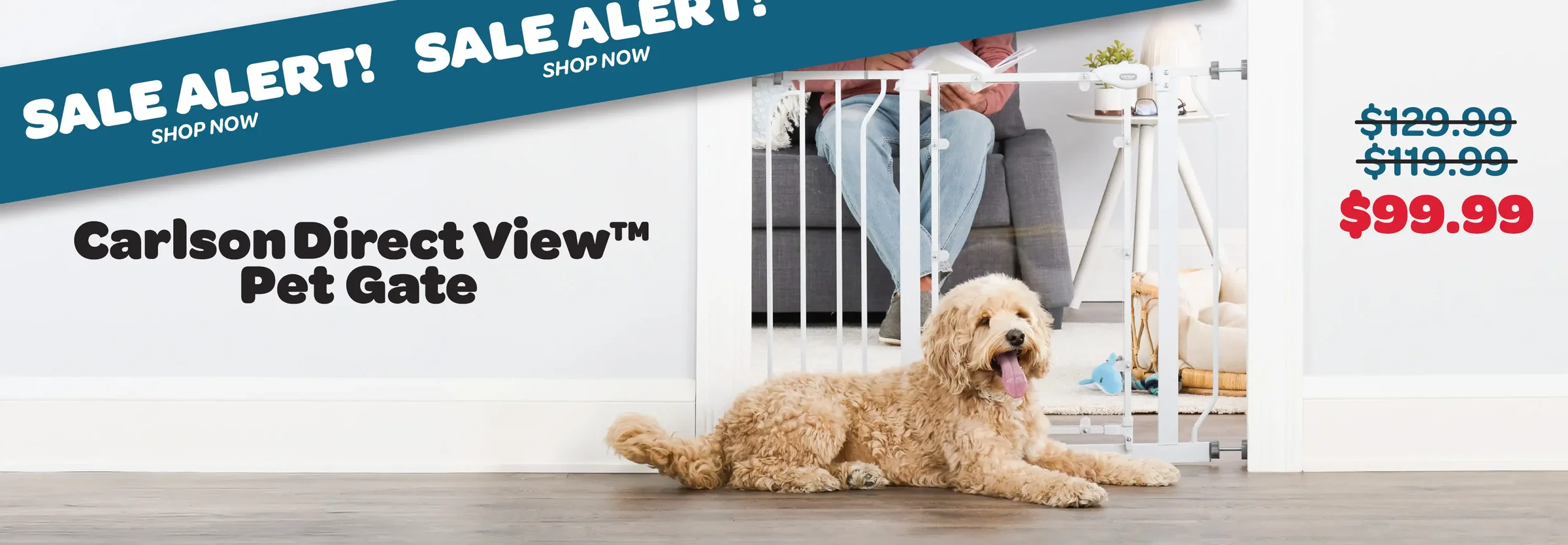 Safety and Comfort for Pets