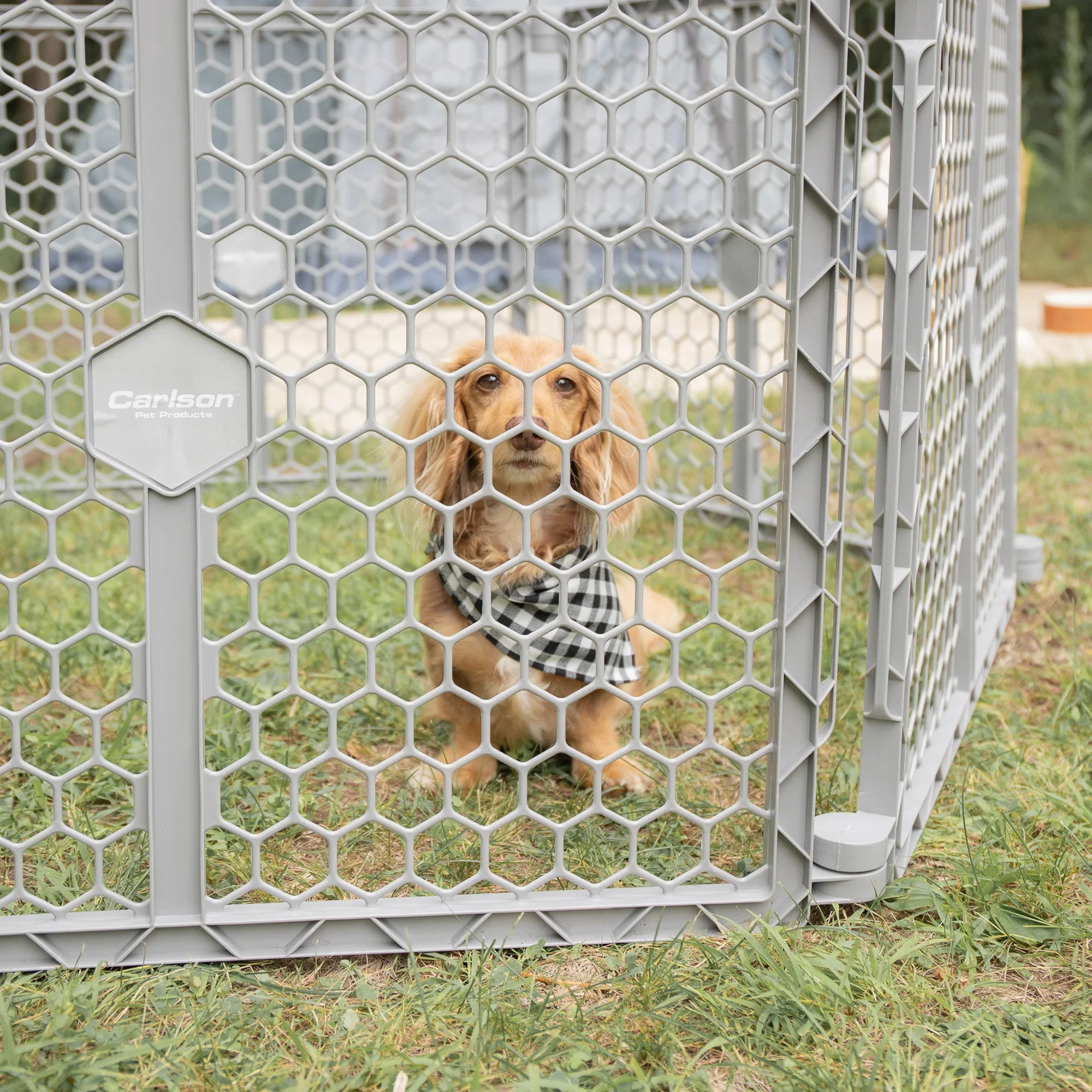 2-in-1 Plastic Gate & Pet Pen - Image 6