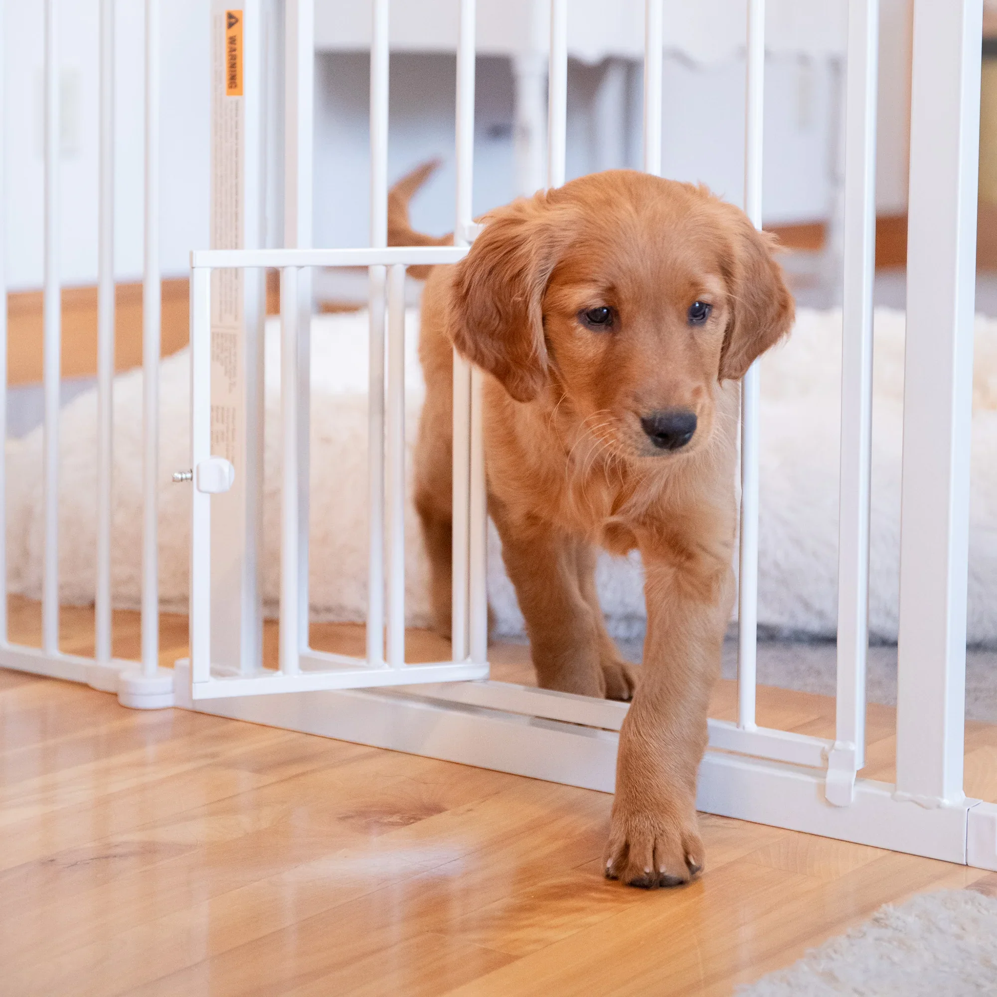 2-in-1 Super Wide Pet Pen & Gate - Image 3