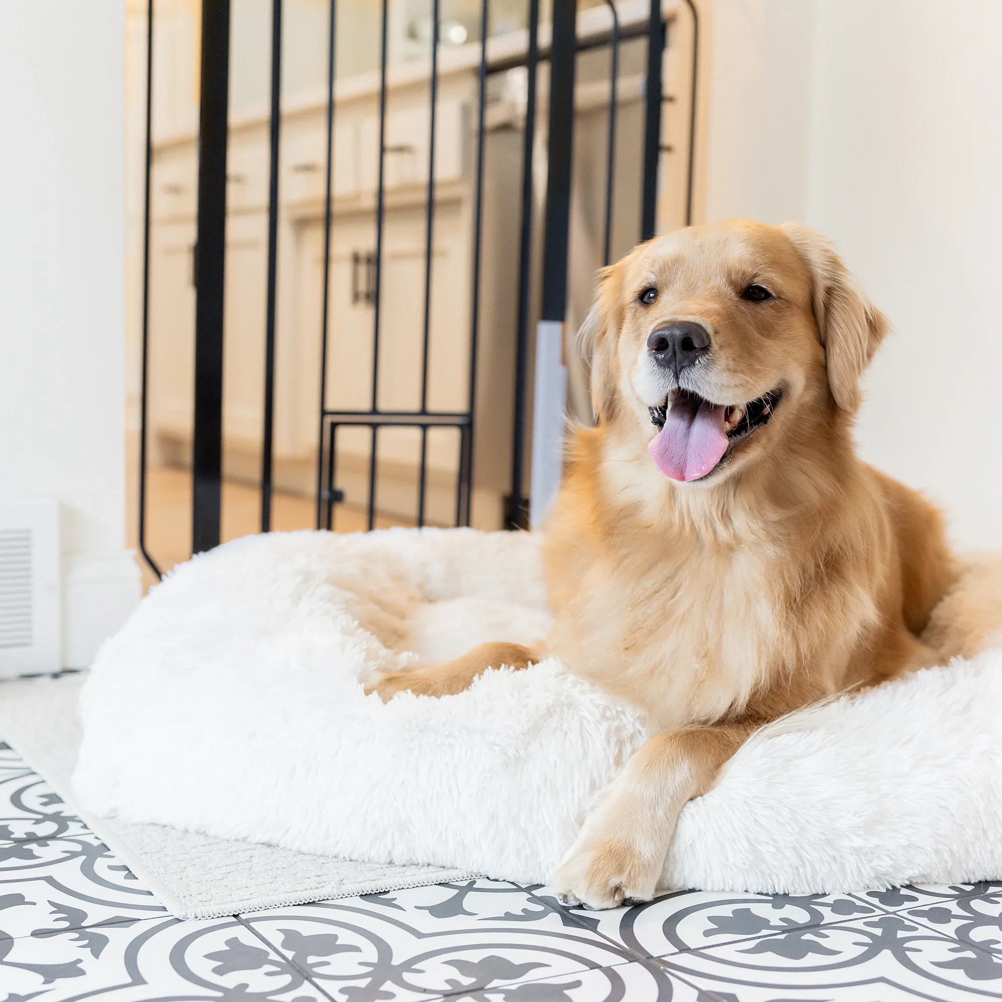 36” Extra Tall Walk-Thru Pet Gate - Image 5
