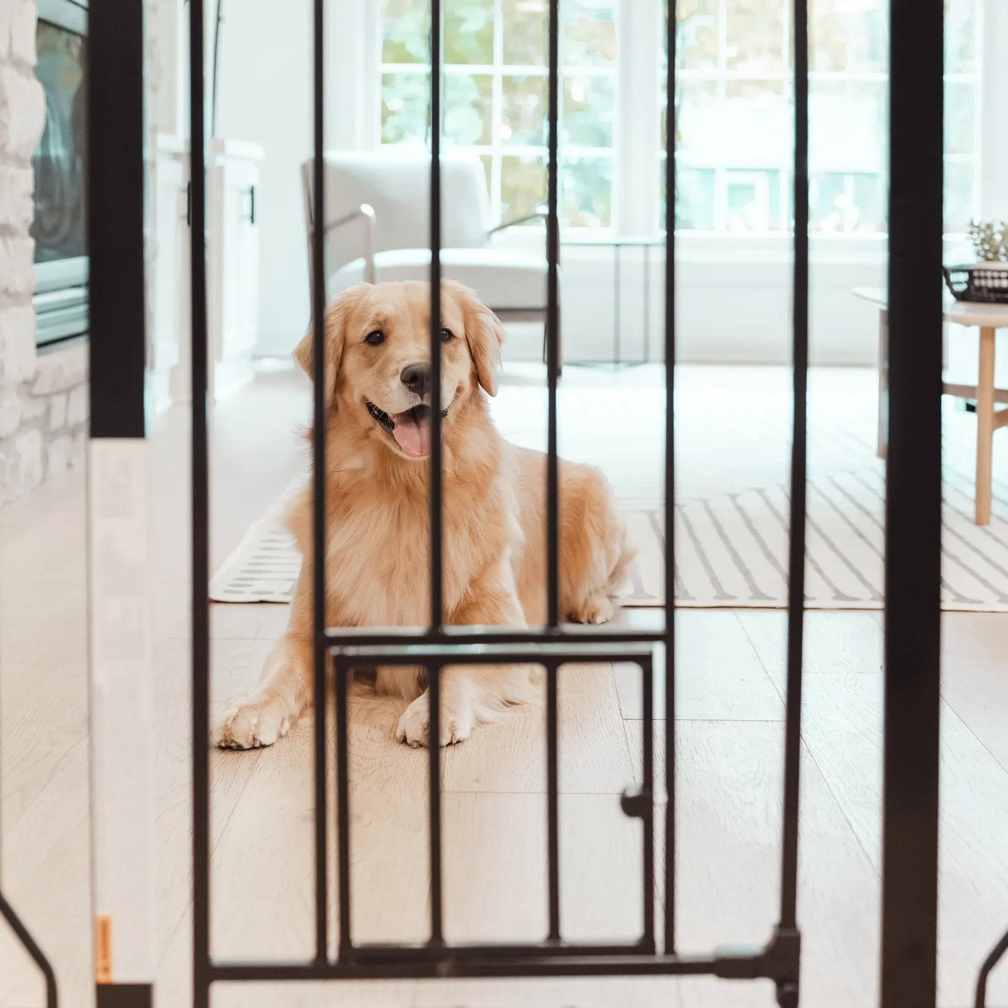 36” Extra Tall Walk-Thru Pet Gate - Image 6