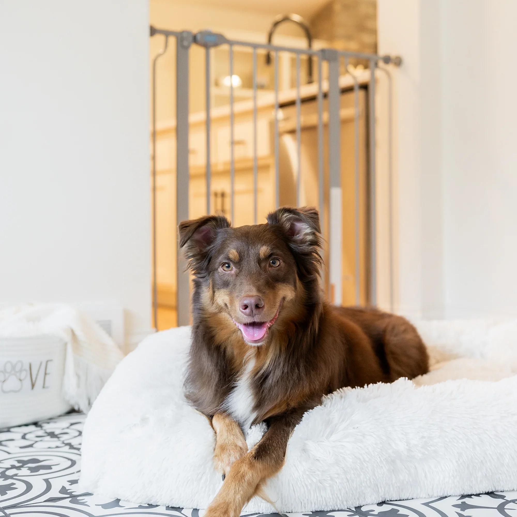 36” Extra Tall Walk-Thru Pet Gate - Image 5
