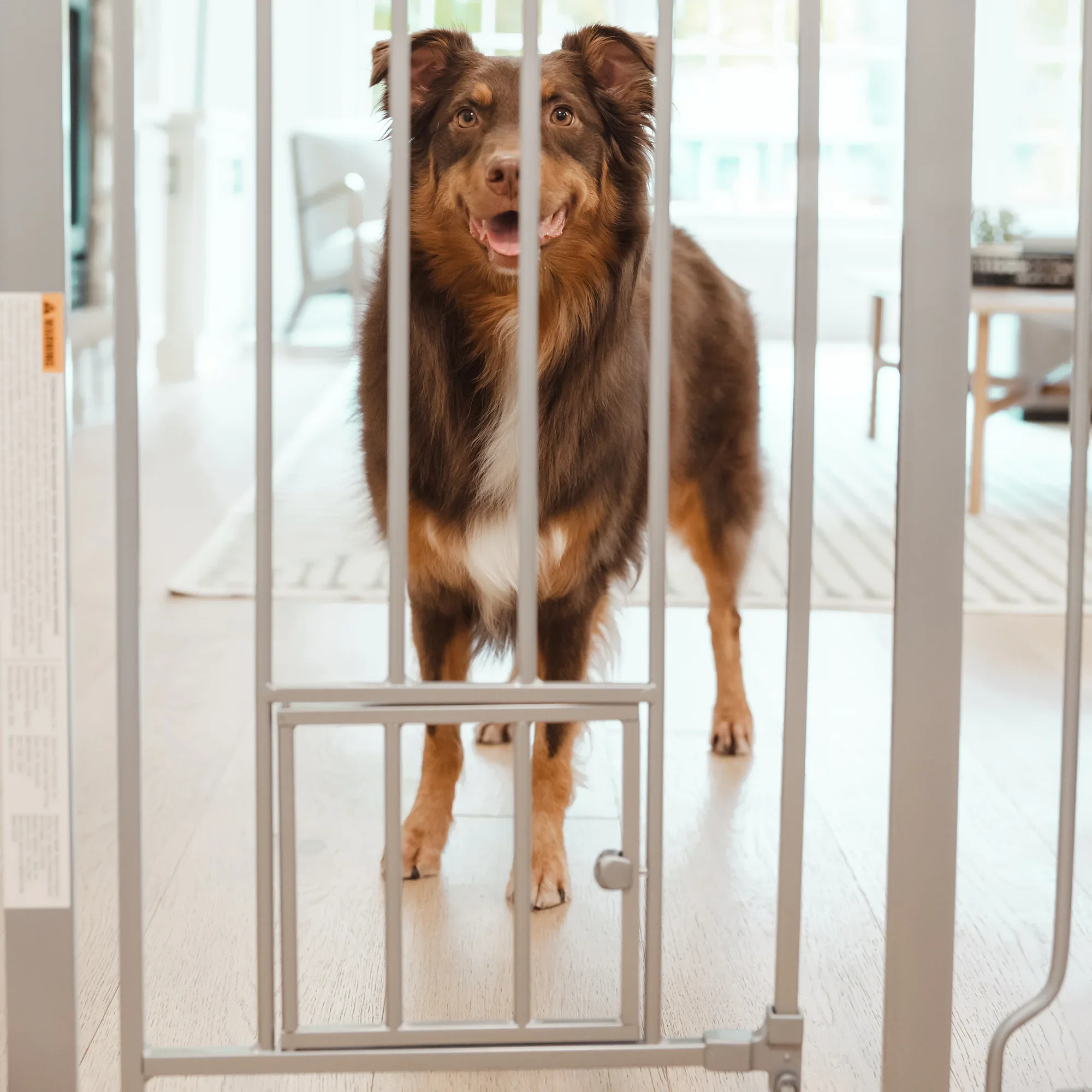 36” Extra Tall Walk-Thru Pet Gate - Image 7