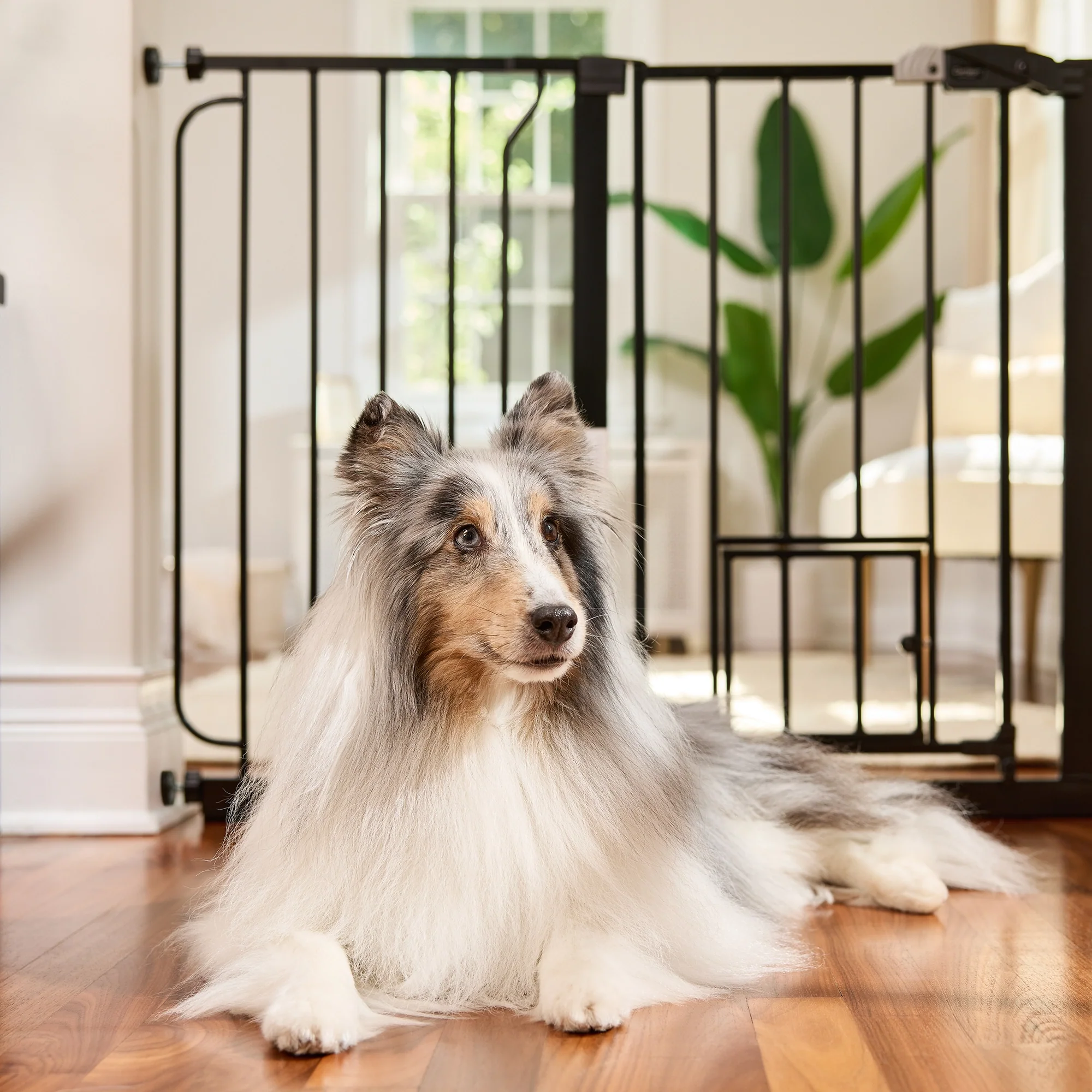 51" Extra Wide Walk-Thru Pet Gate with Lift Handle - Image 4