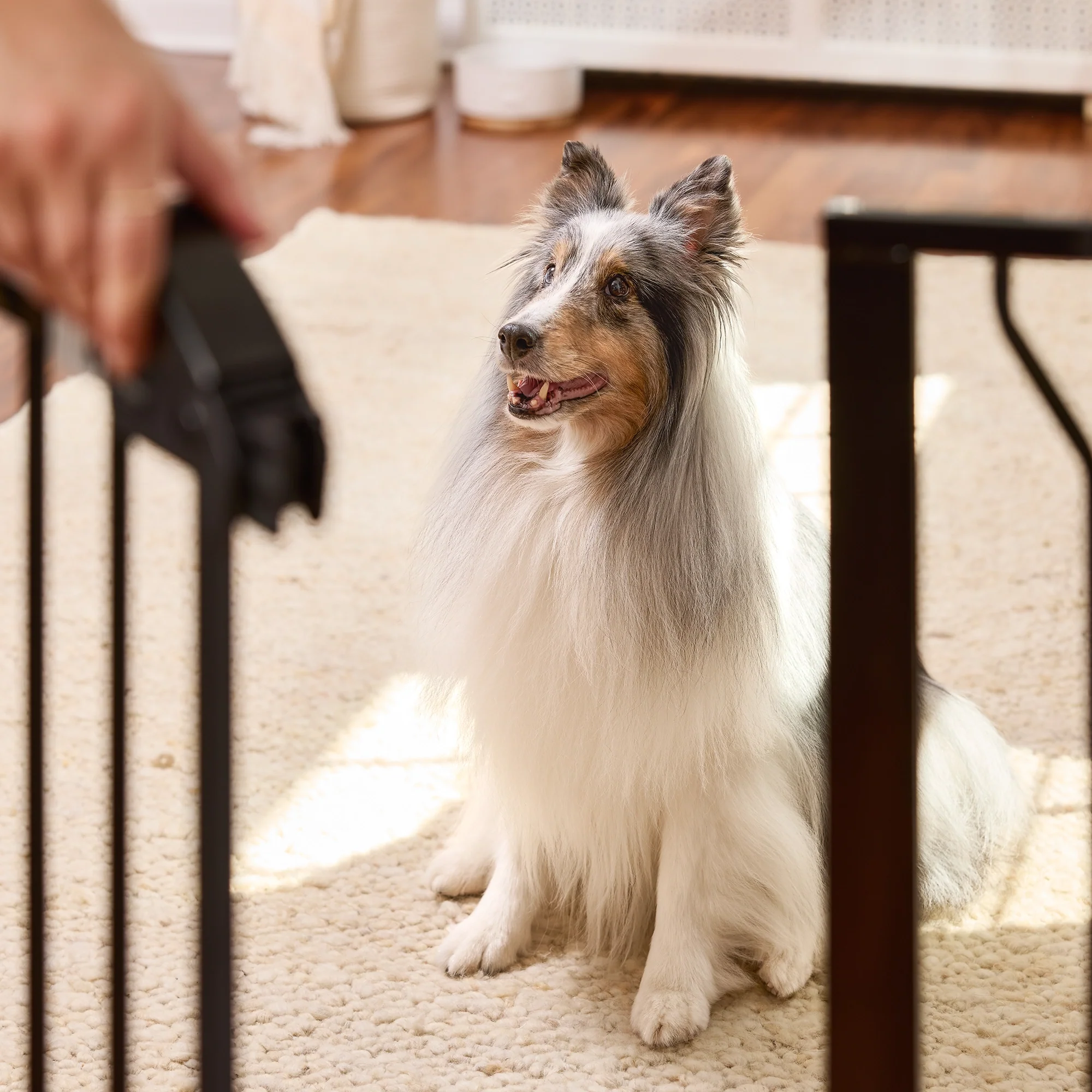 51" Extra Wide Walk-Thru Pet Gate with Lift Handle - Image 6