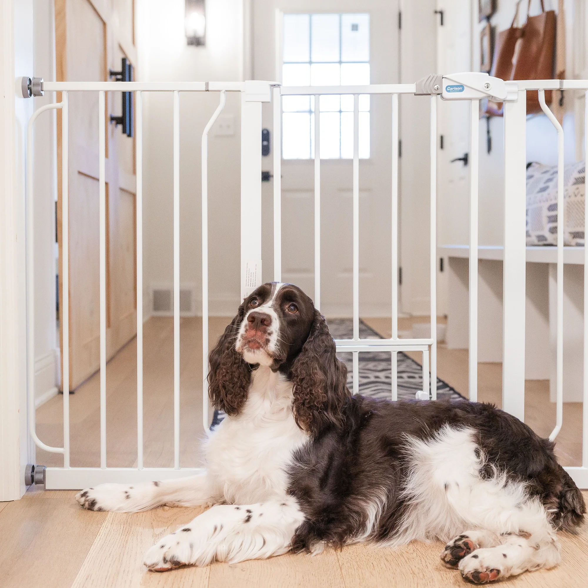 51" Extra Wide Walk-Thru Pet Gate with Lift Handle - Image 4