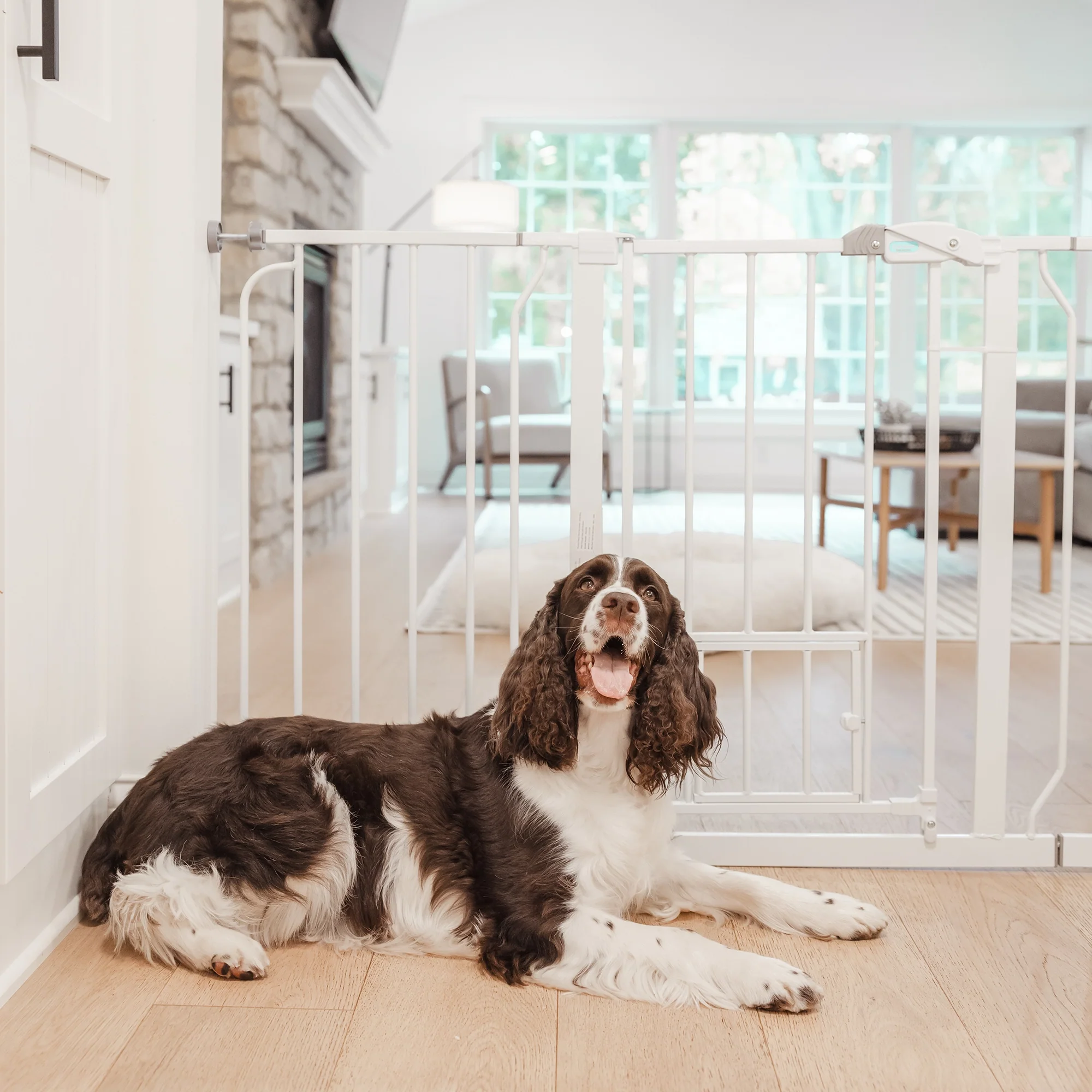 51" Extra Wide Walk-Thru Pet Gate with Lift Handle - Image 5