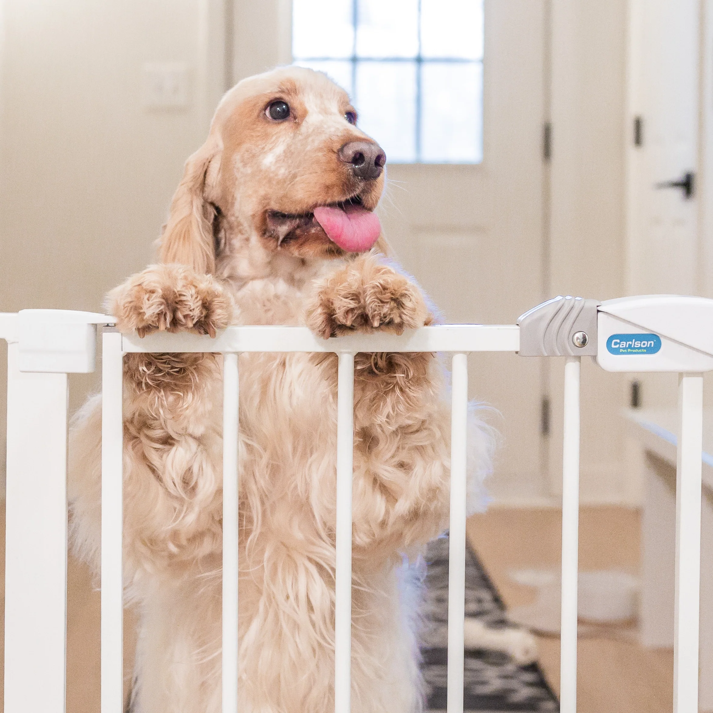 51" Extra Wide Walk-Thru Pet Gate with Lift Handle - Image 7