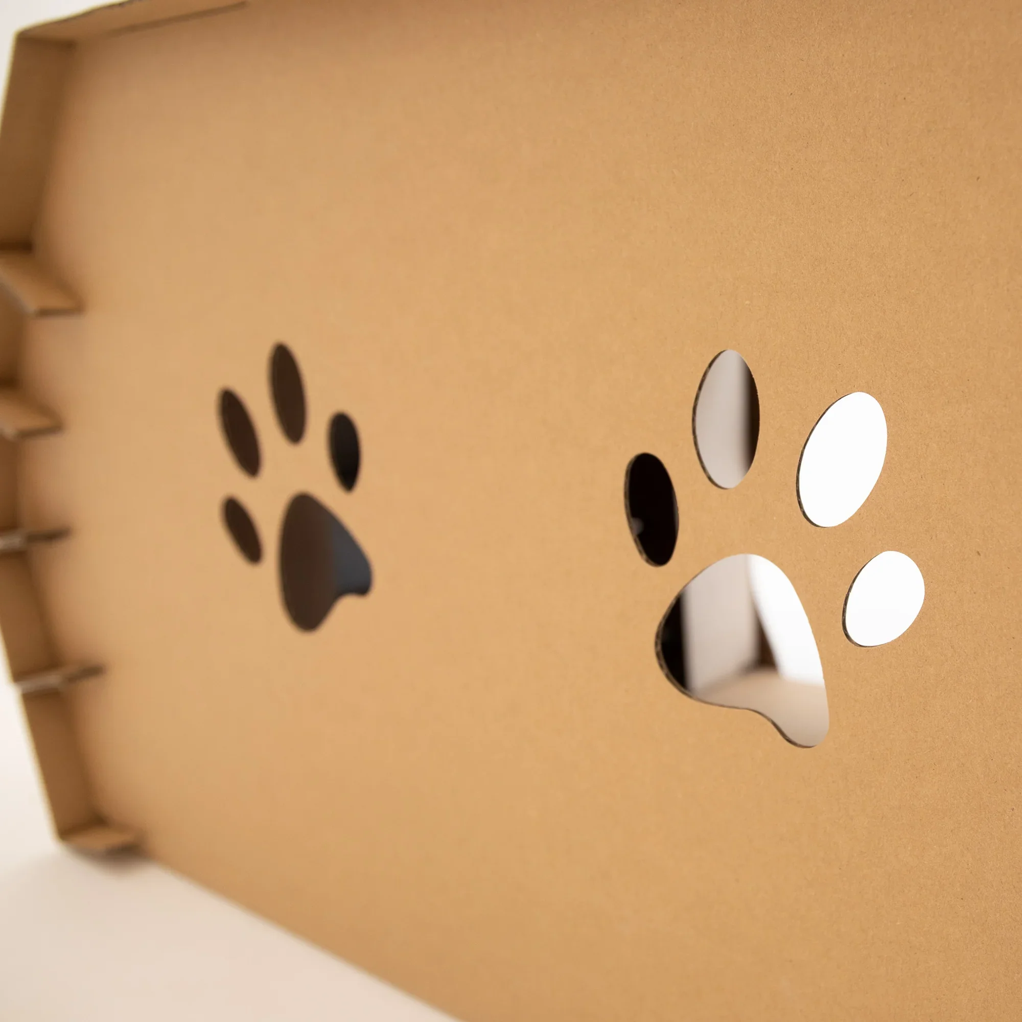 Cat Camper - Image 13