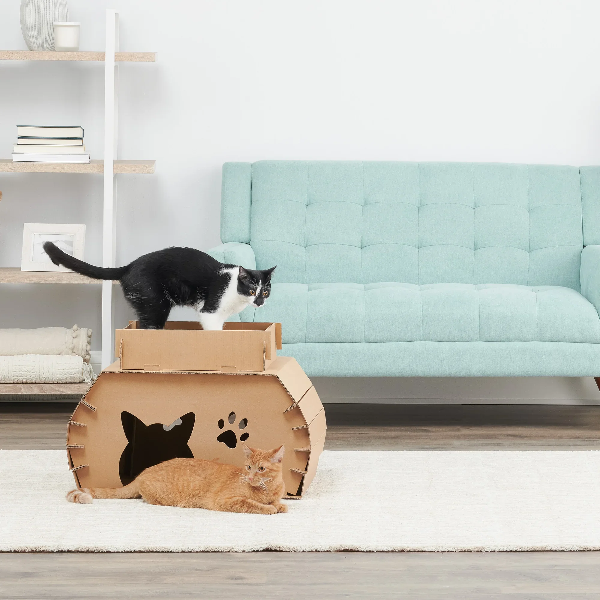 Cat Camper - Image 5