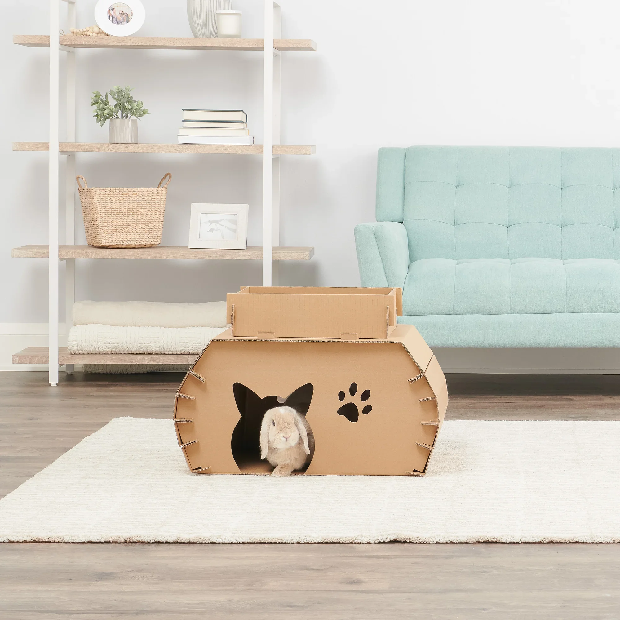 Cat Camper - Image 6