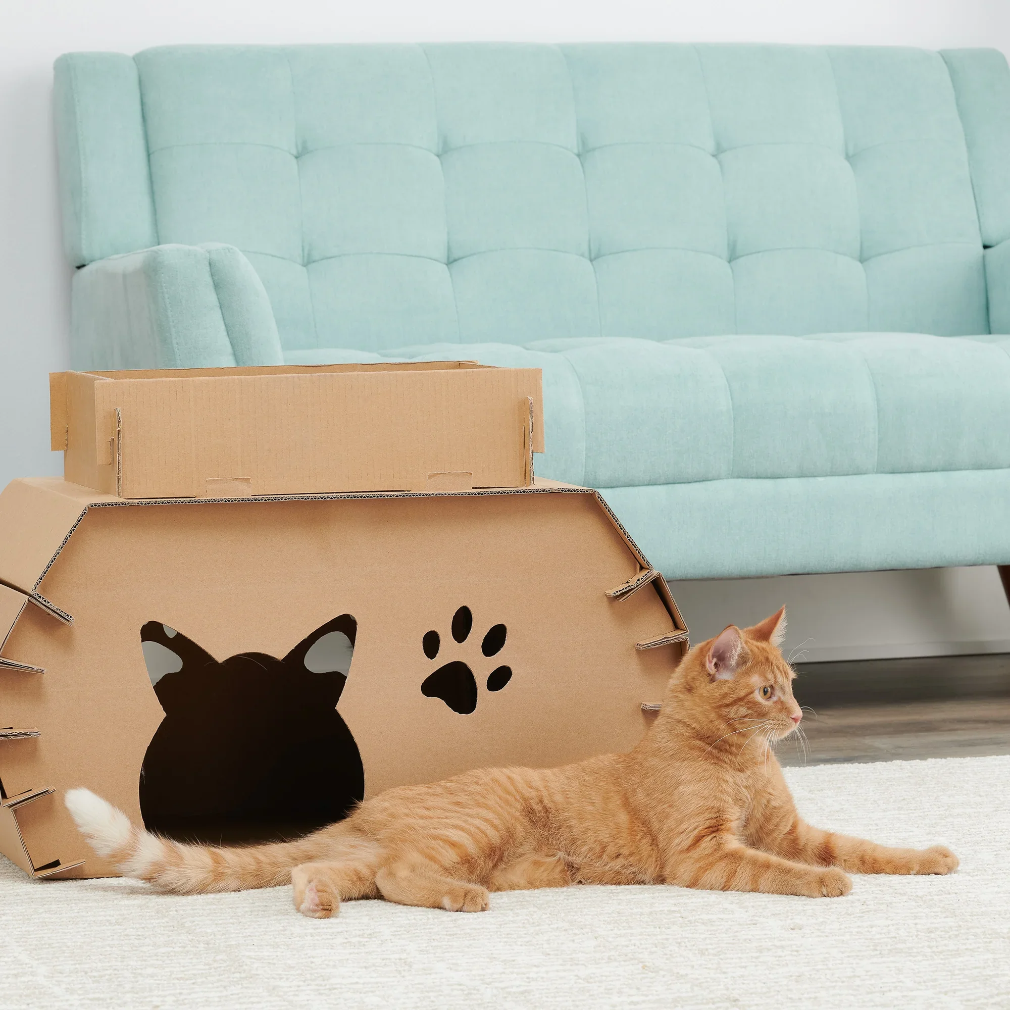 Cat Camper - Image 8