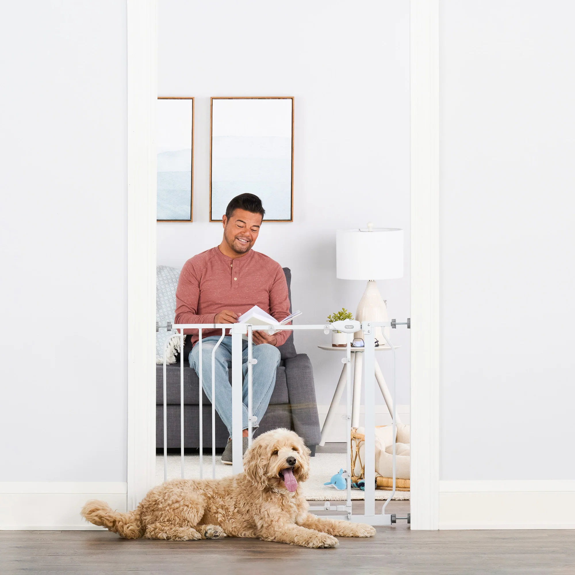 Direct View™ Pet Gate - Image 5