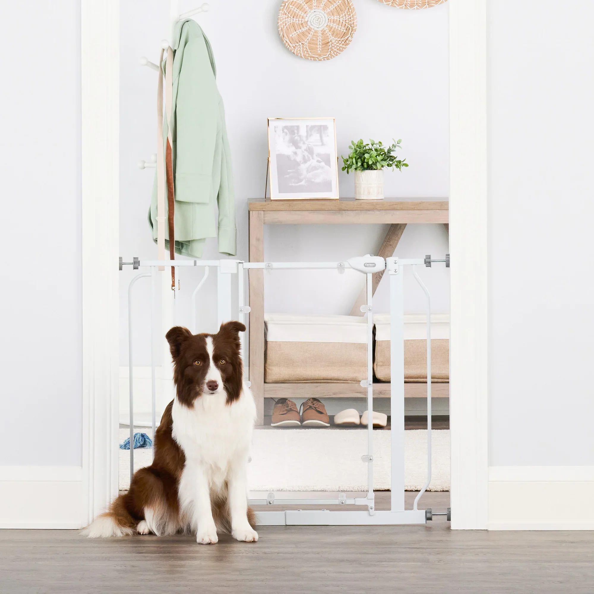 Direct View™ Pet Gate - Image 8