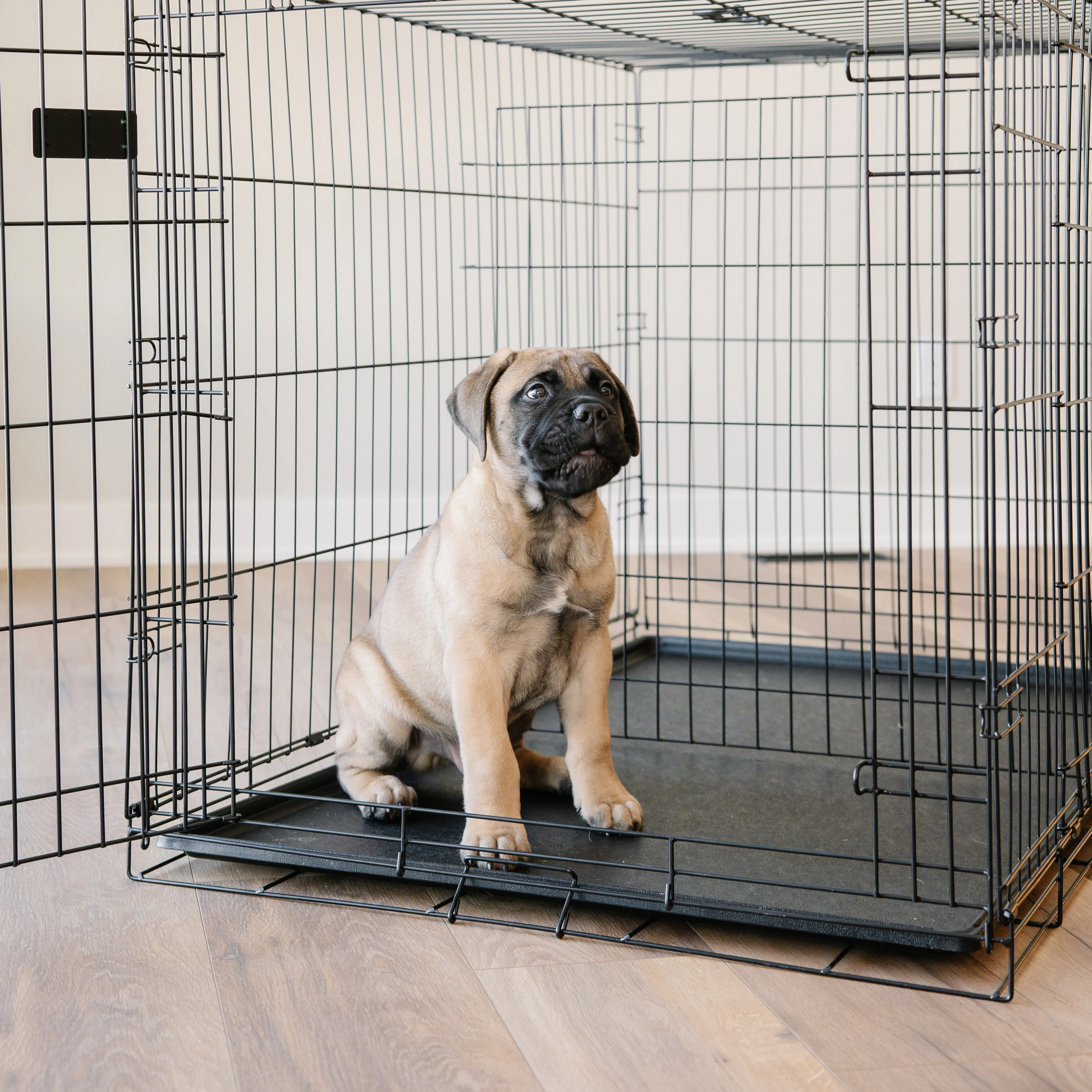 Extra-Large Double-Door Dog Crate - Image 13