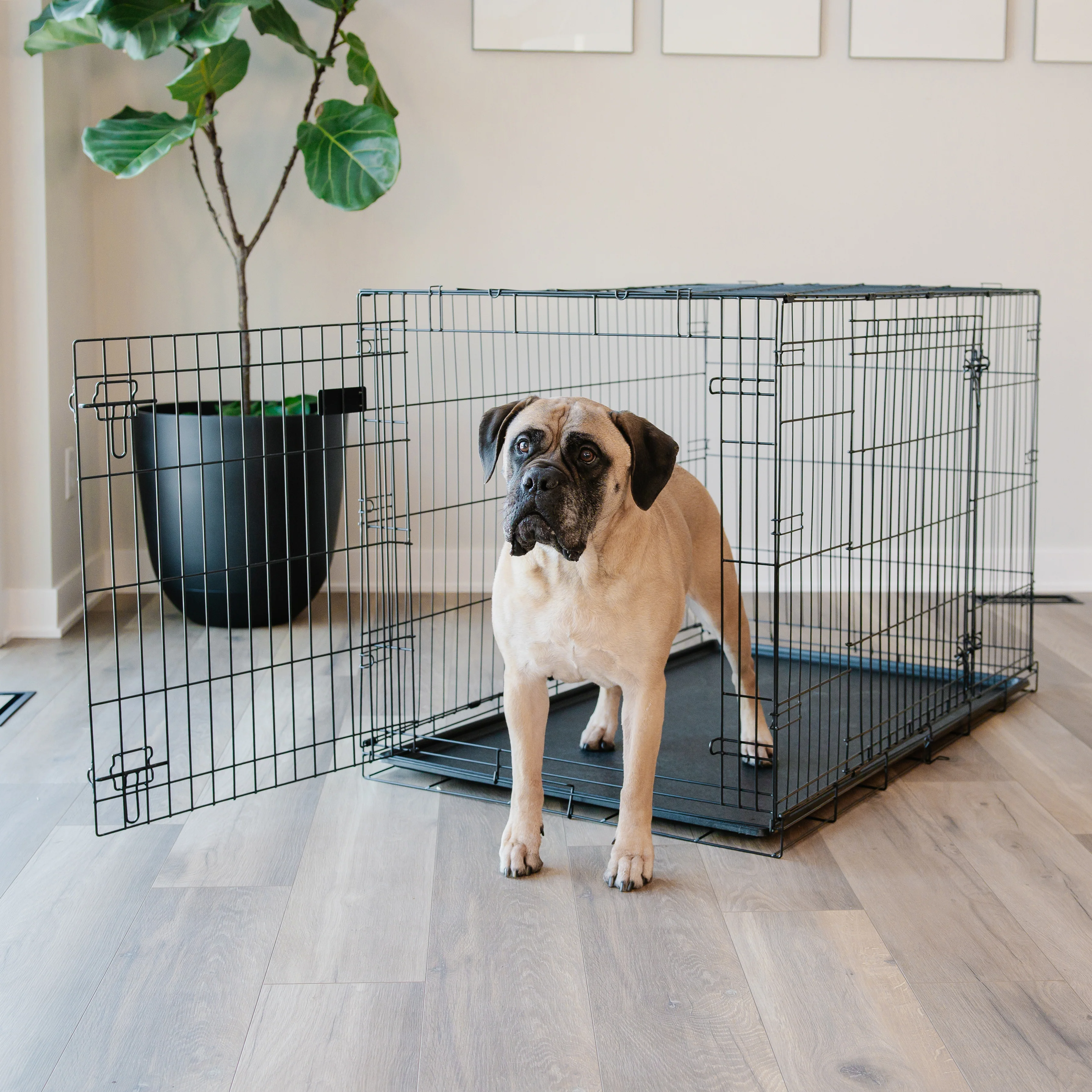 Extra-Large Double-Door Dog Crate - Image 14