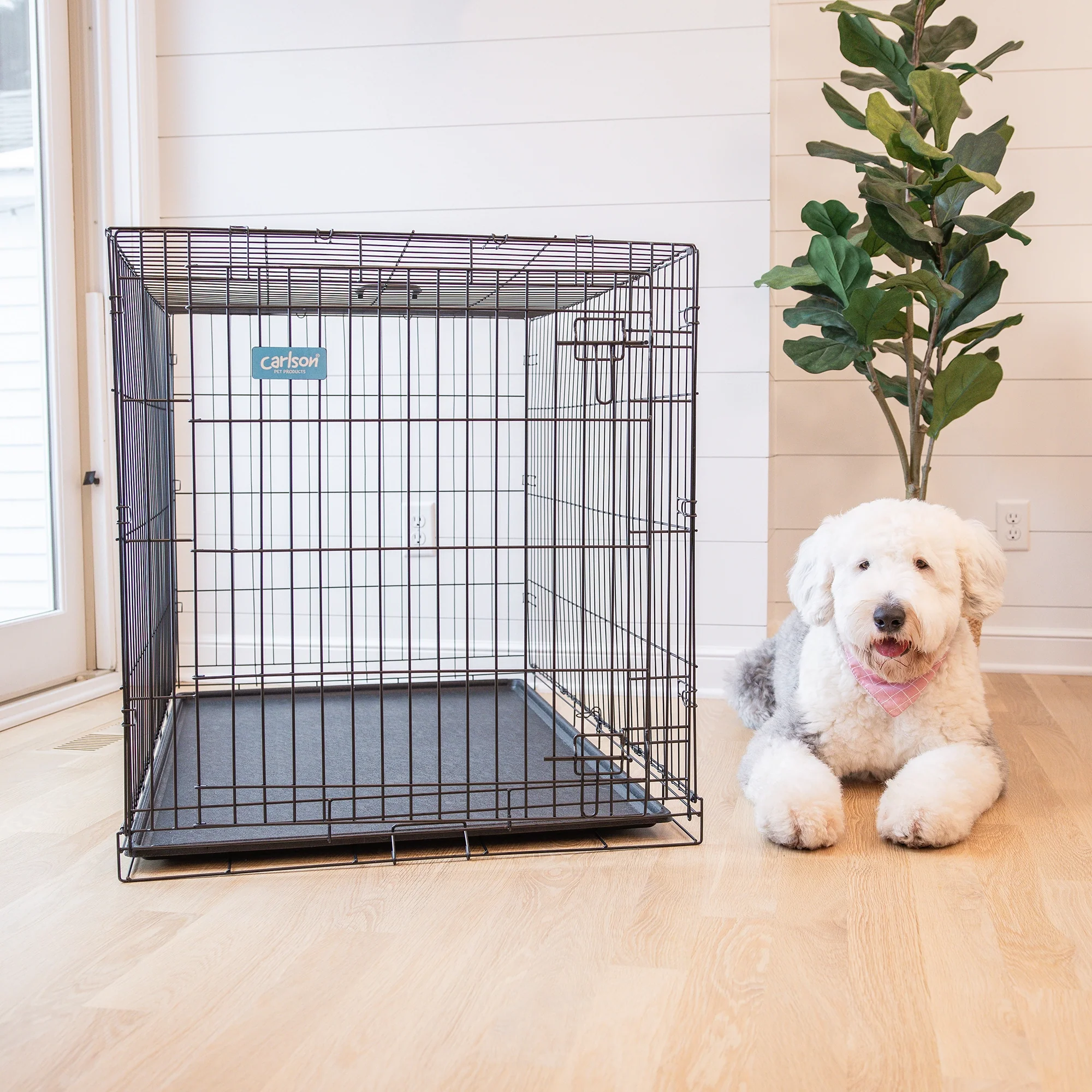 Extra-Large Single-Door Dog Crate - Image 11