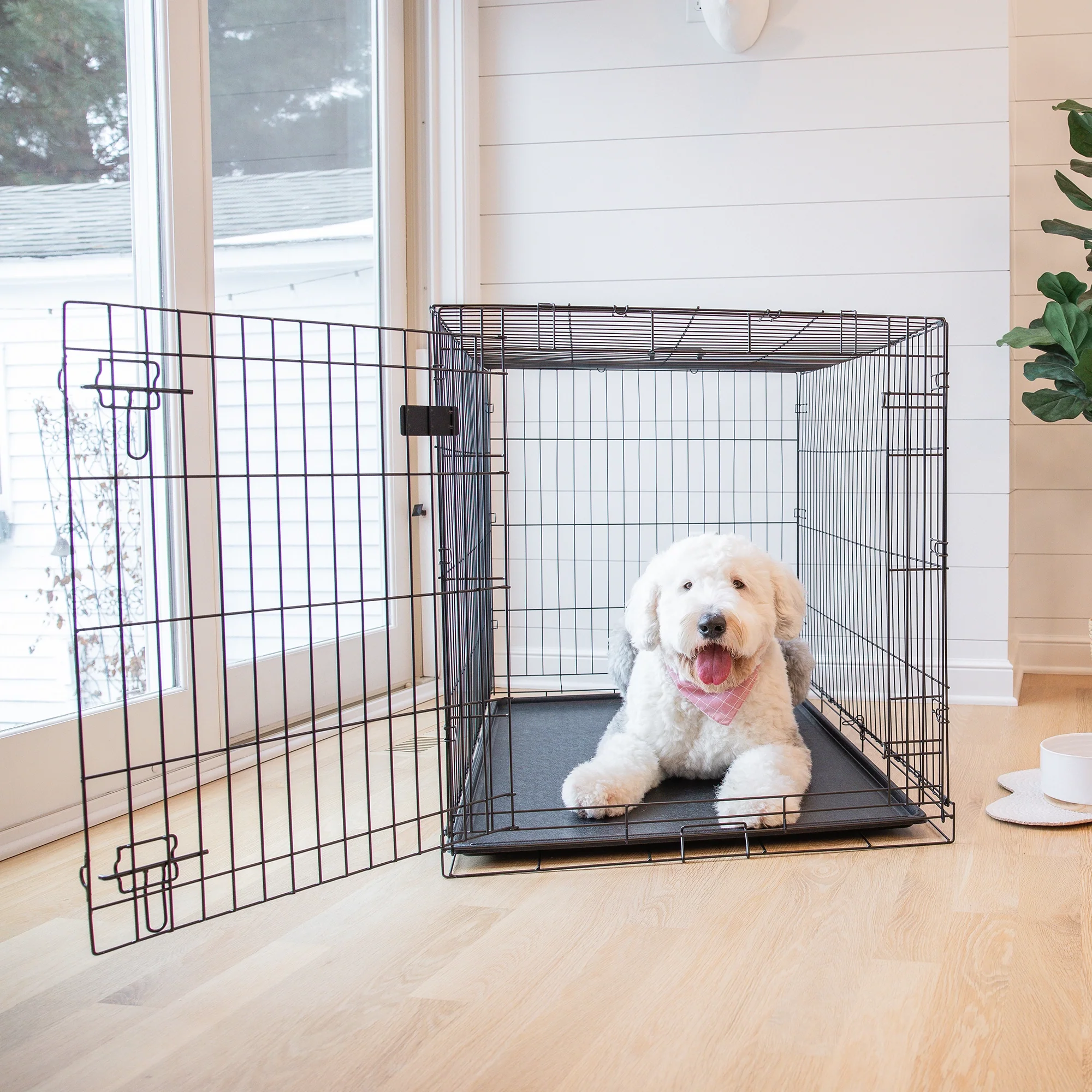 Extra-Large Single-Door Dog Crate - Image 12