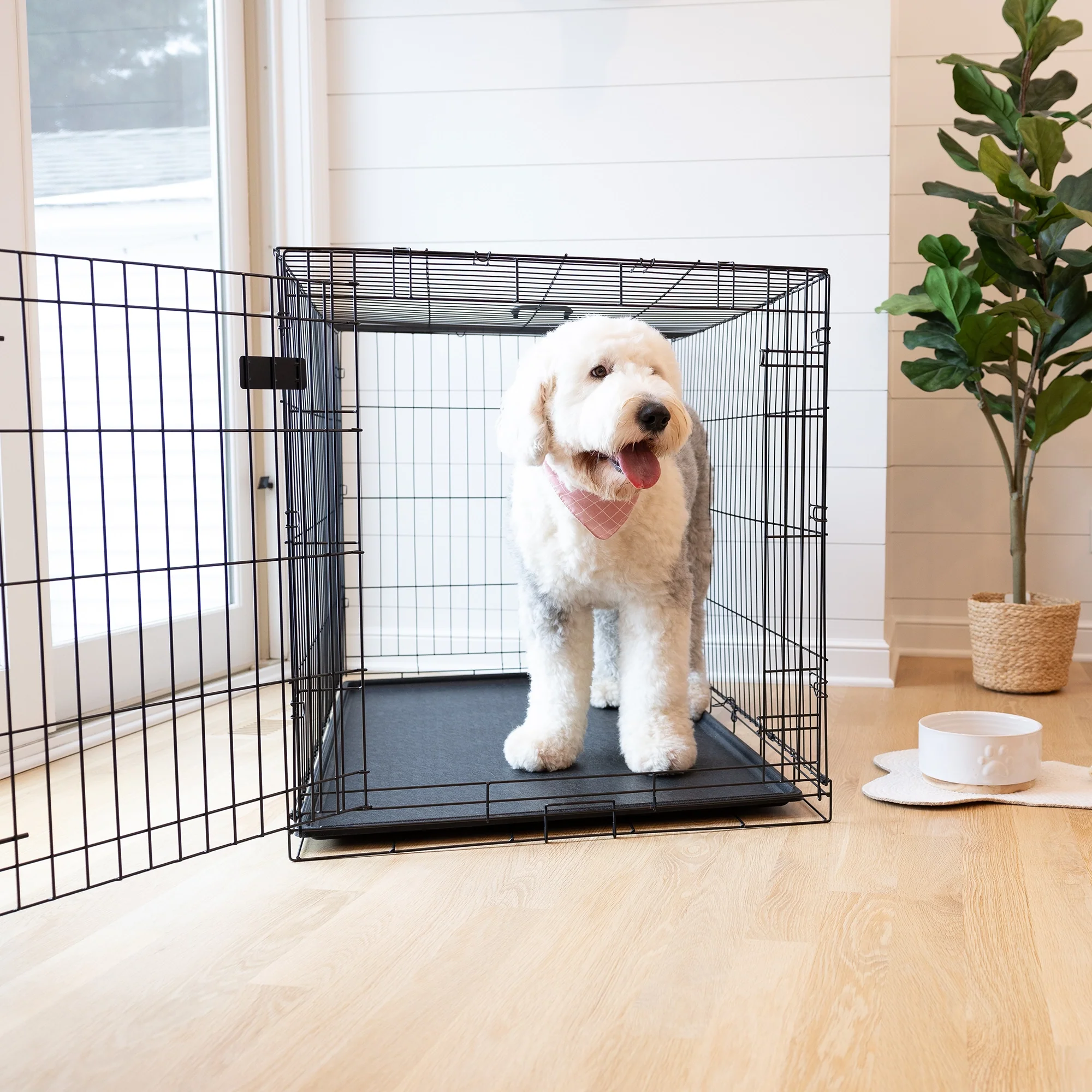 Extra-Large Single-Door Dog Crate - Image 13