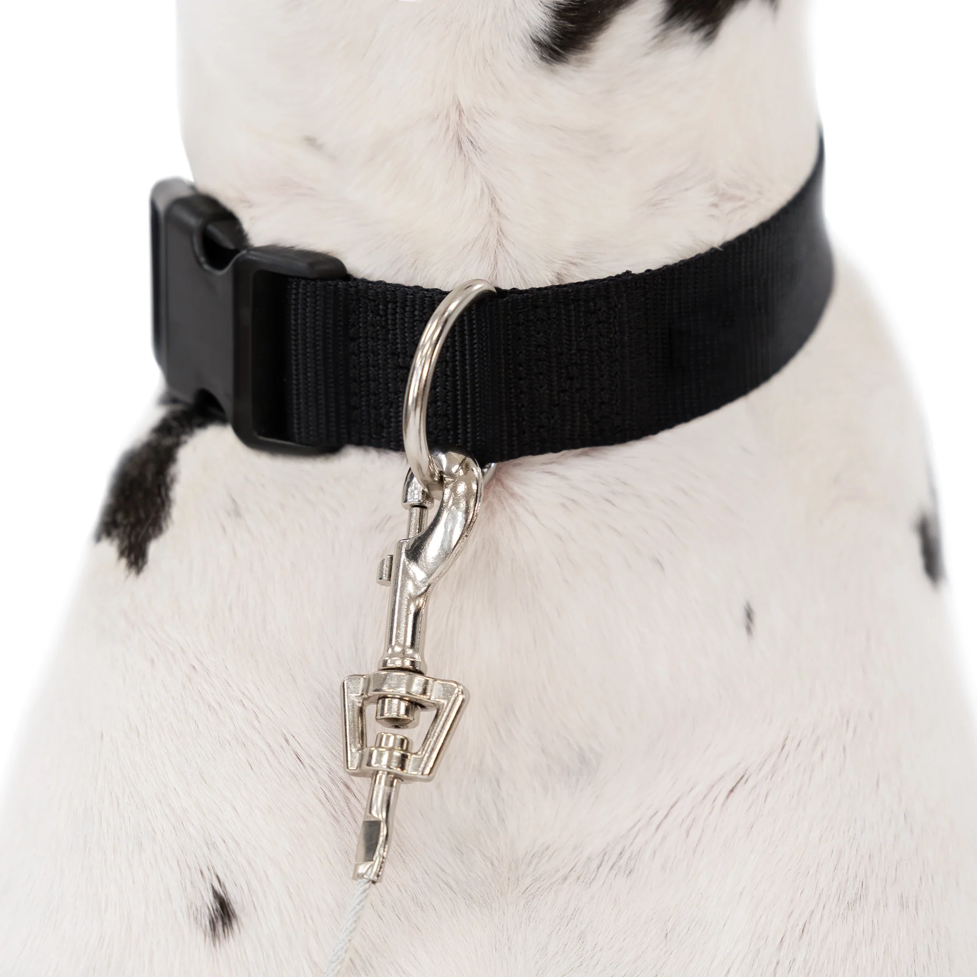 Extra-Large Trolly Cable & Dog Tie-Out - Image 10