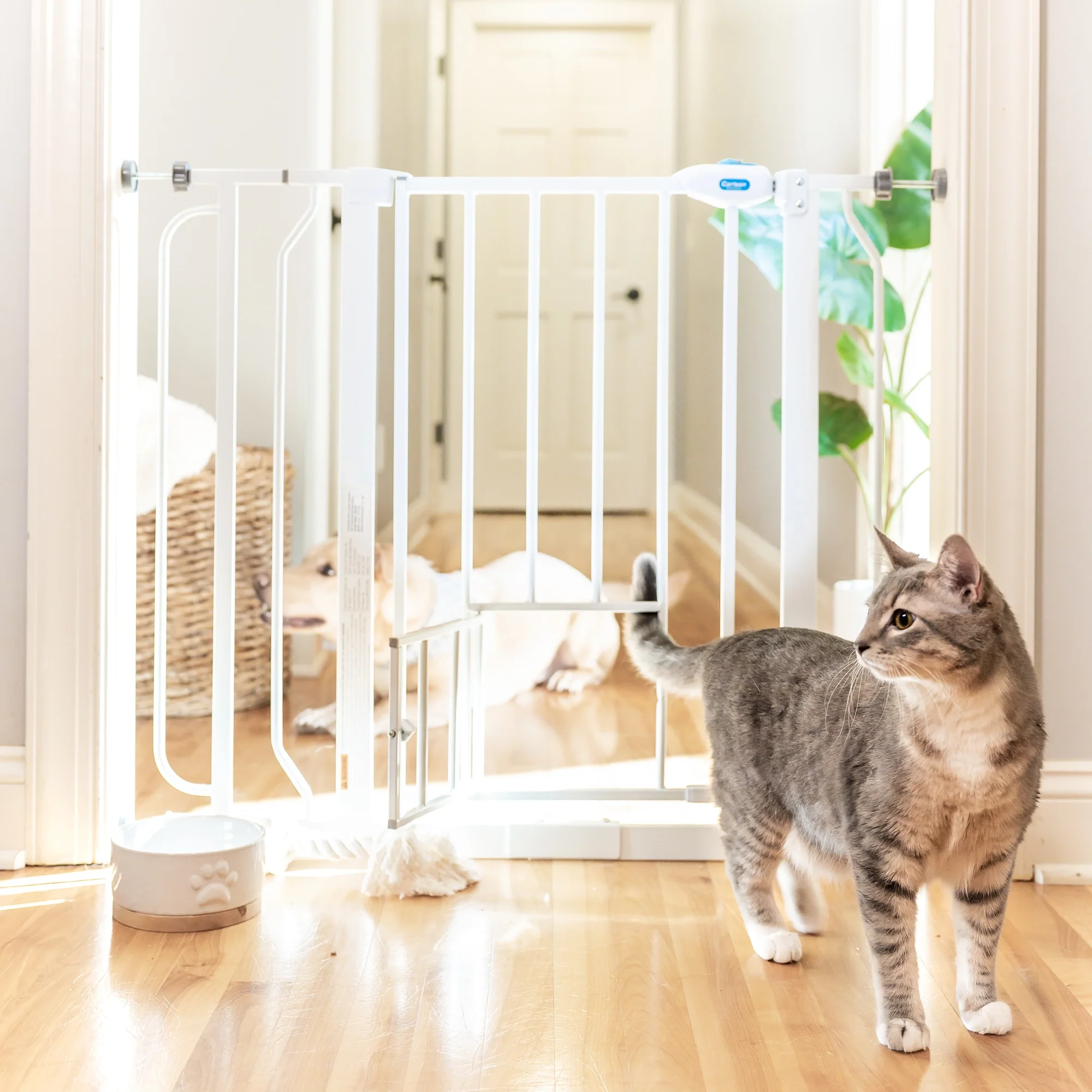 Extra Wide Walk-Thru Pet Gate - Image 11