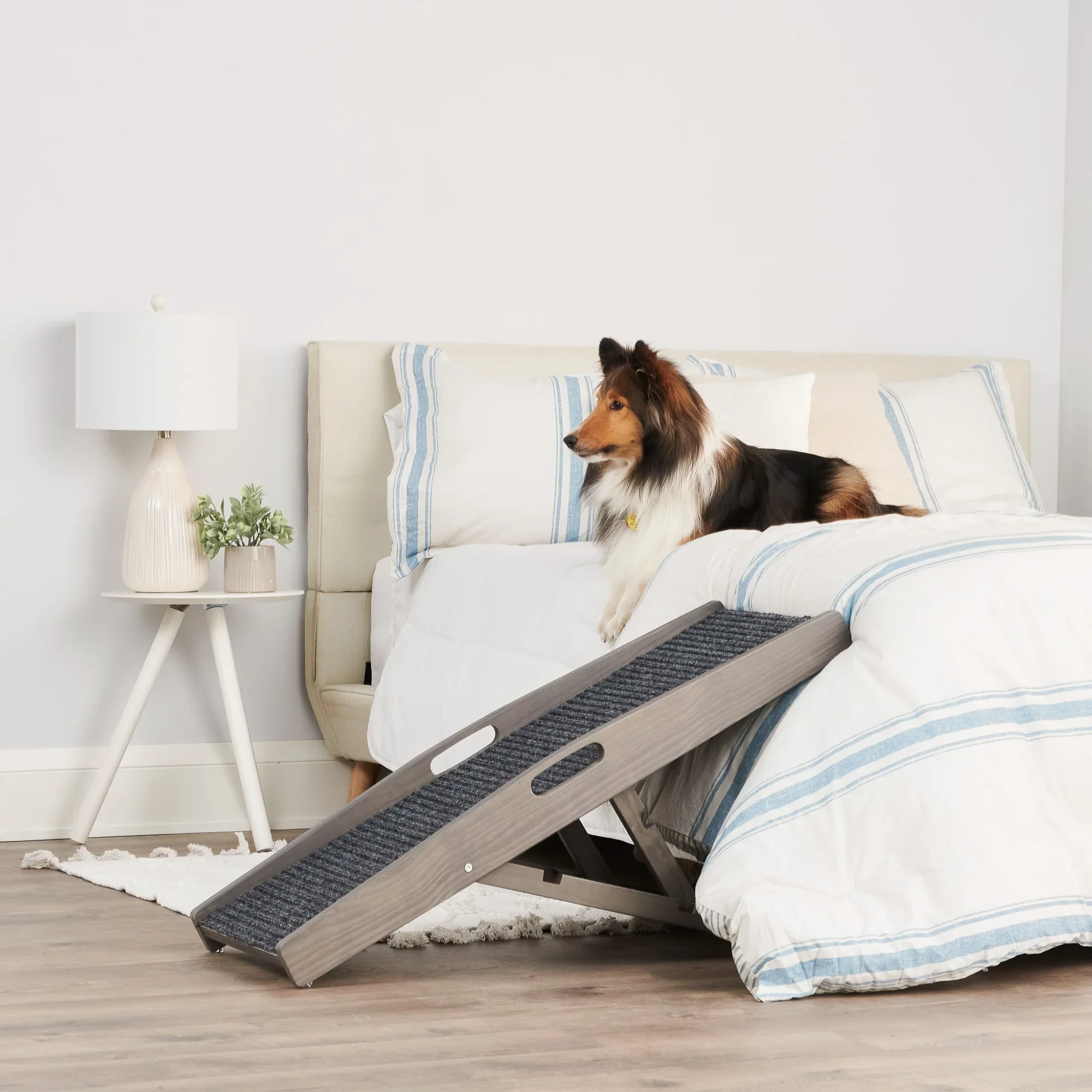 Indoor Pet Ramp - Image 5