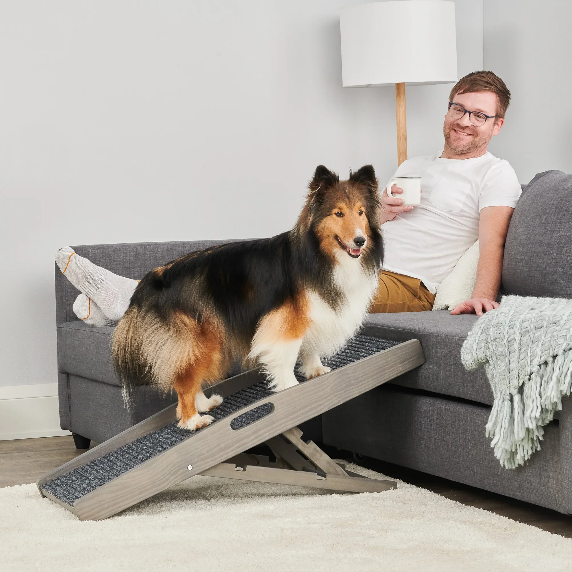 Indoor Pet Ramp - Image 7