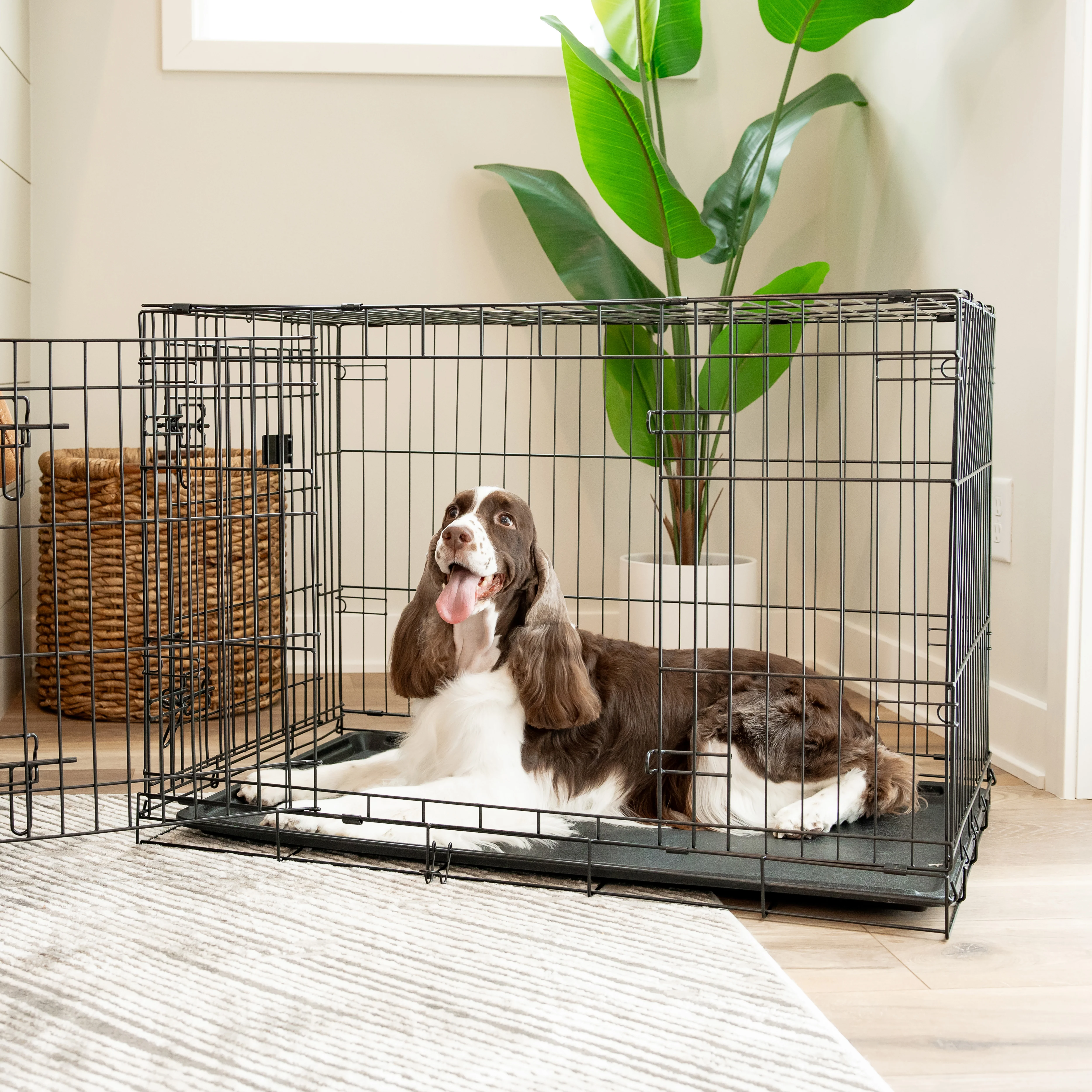Intermediate Double-Door Dog Crate - Image 13