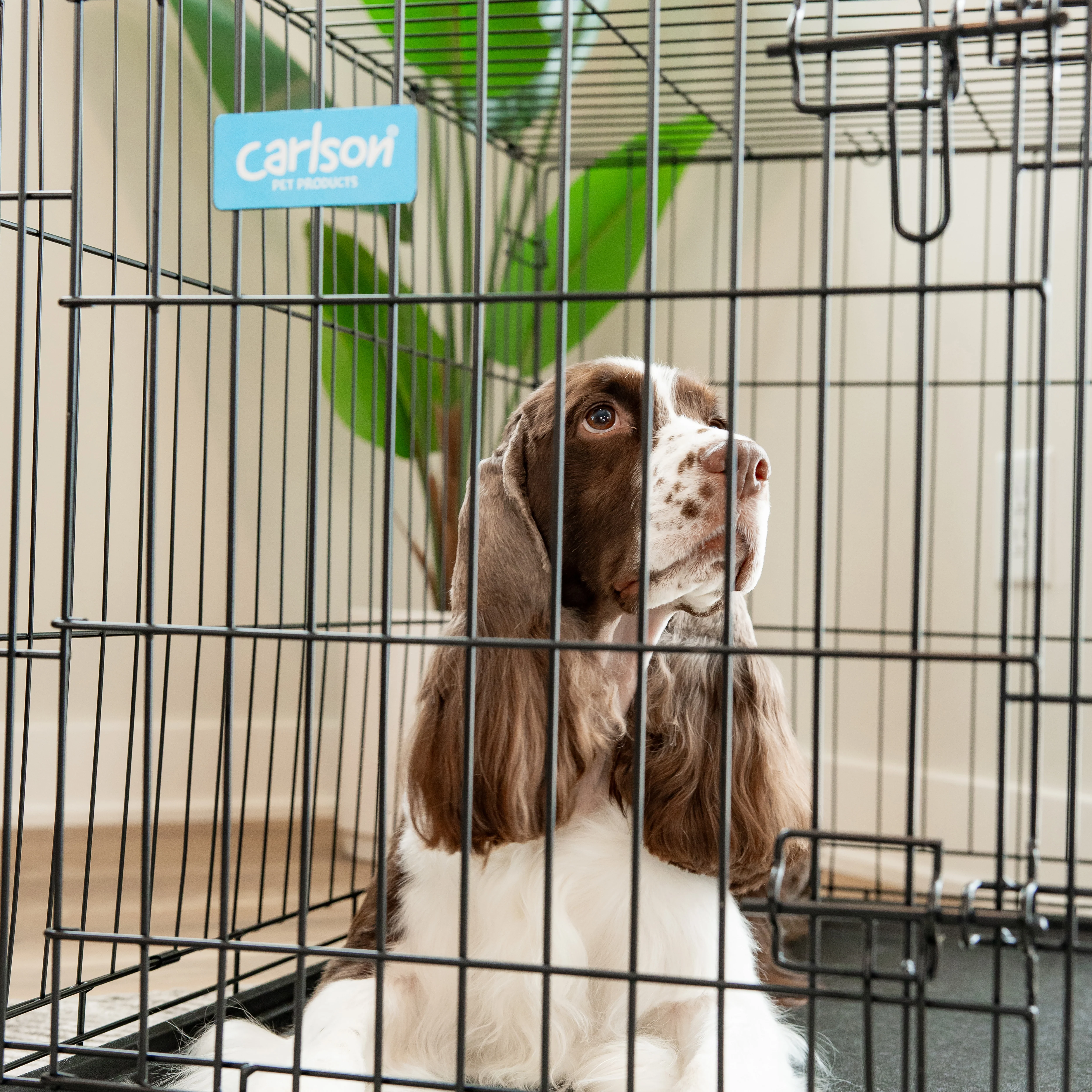 Intermediate Double-Door Dog Crate - Image 14