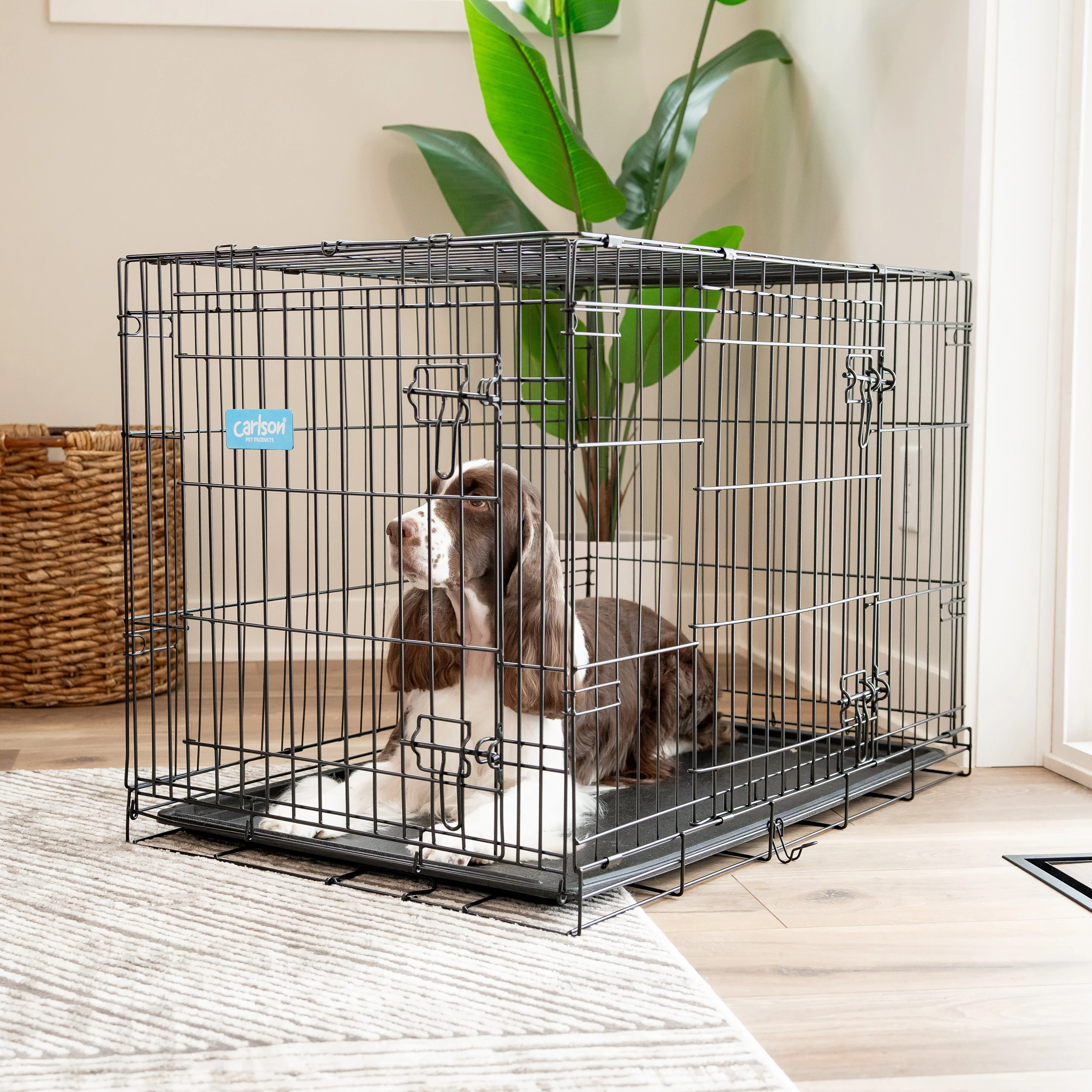 Intermediate Double-Door Dog Crate - Image 15