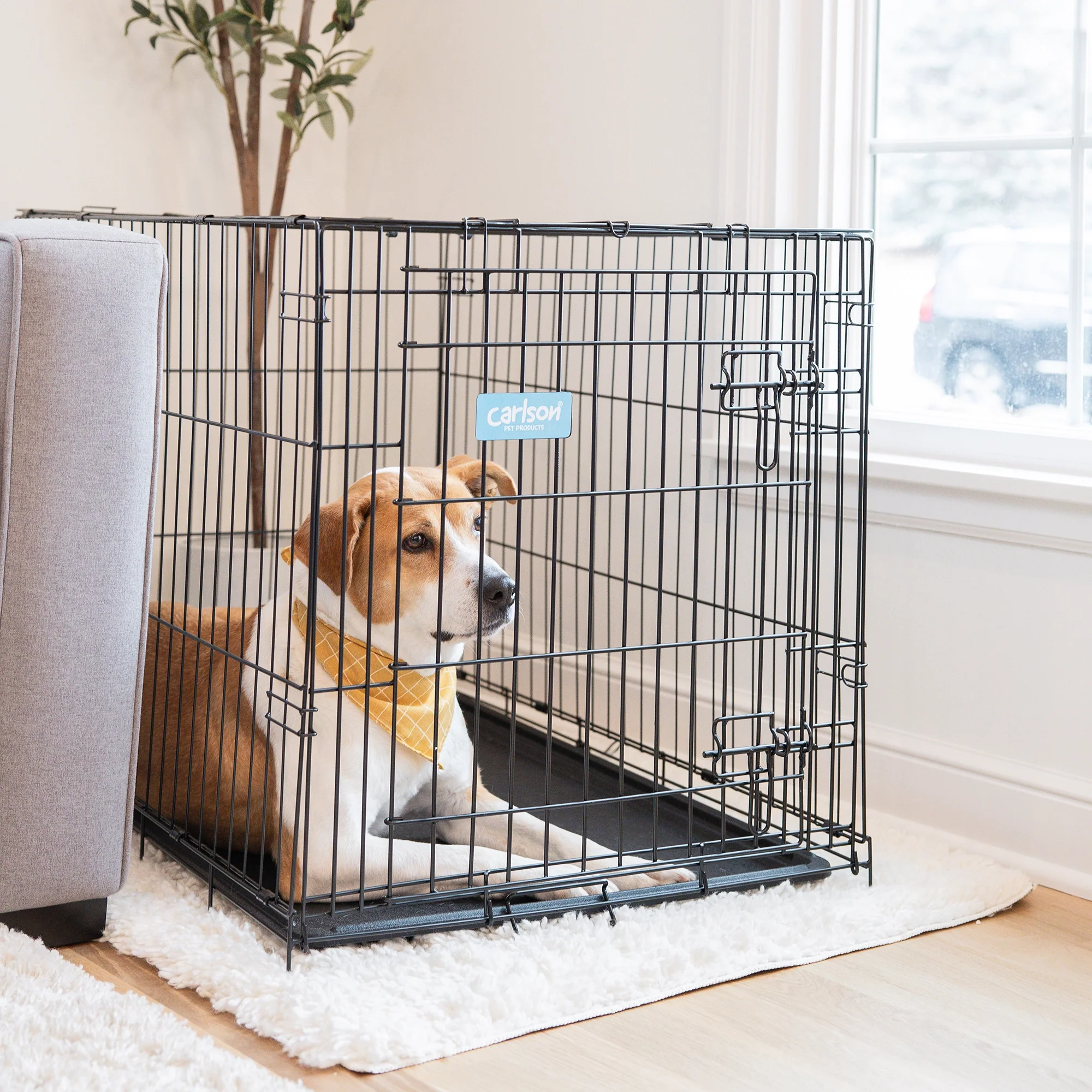 Intermediate Single-Door Dog Crate - Image 12