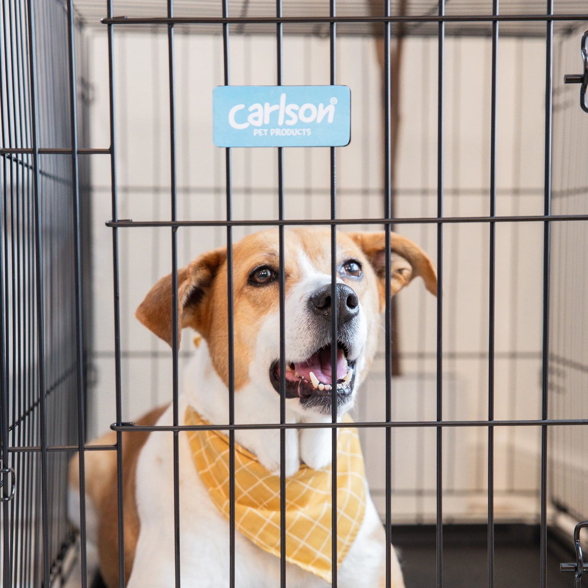 Intermediate Single-Door Dog Crate - Image 15