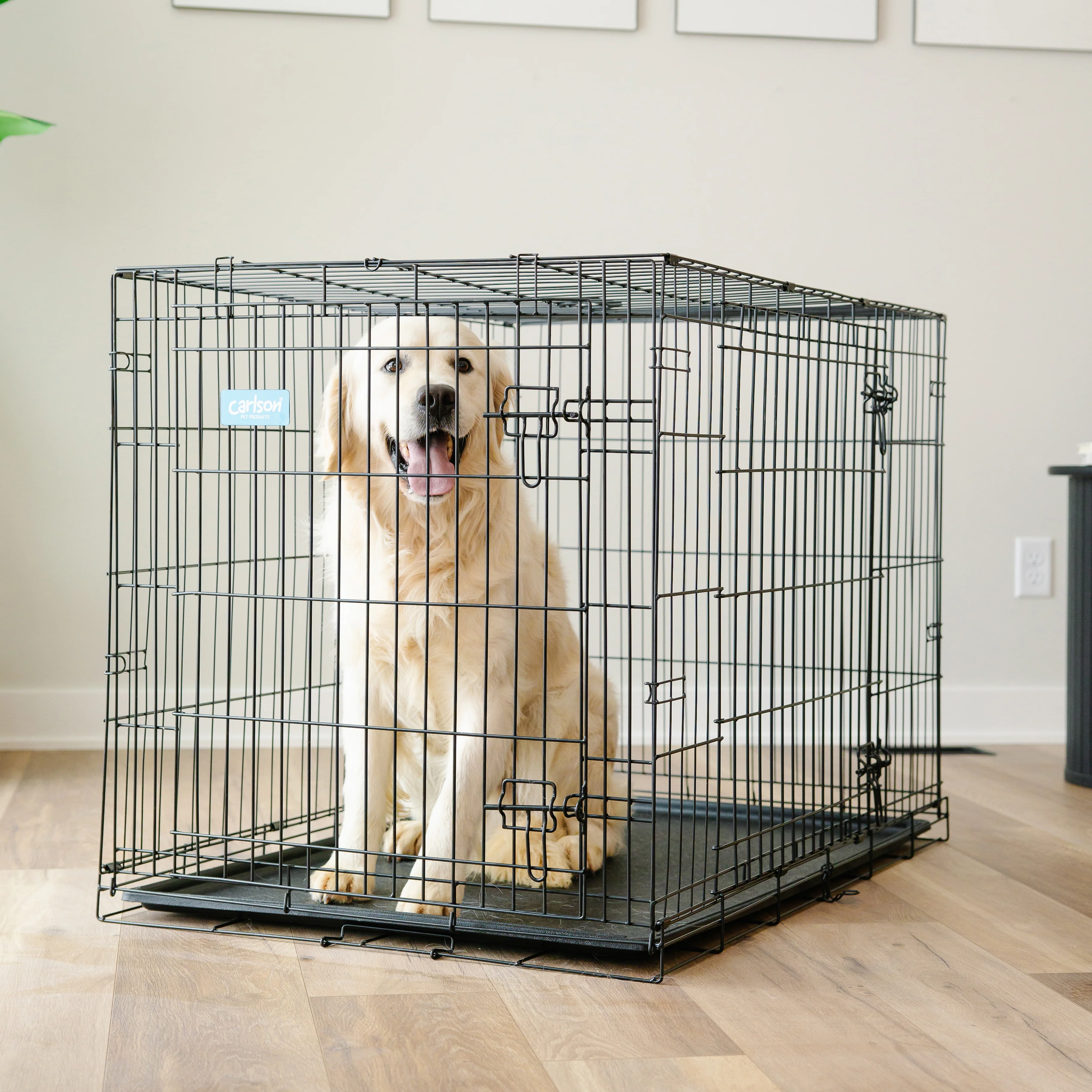 Large Double-Door Dog Crate - Image 14