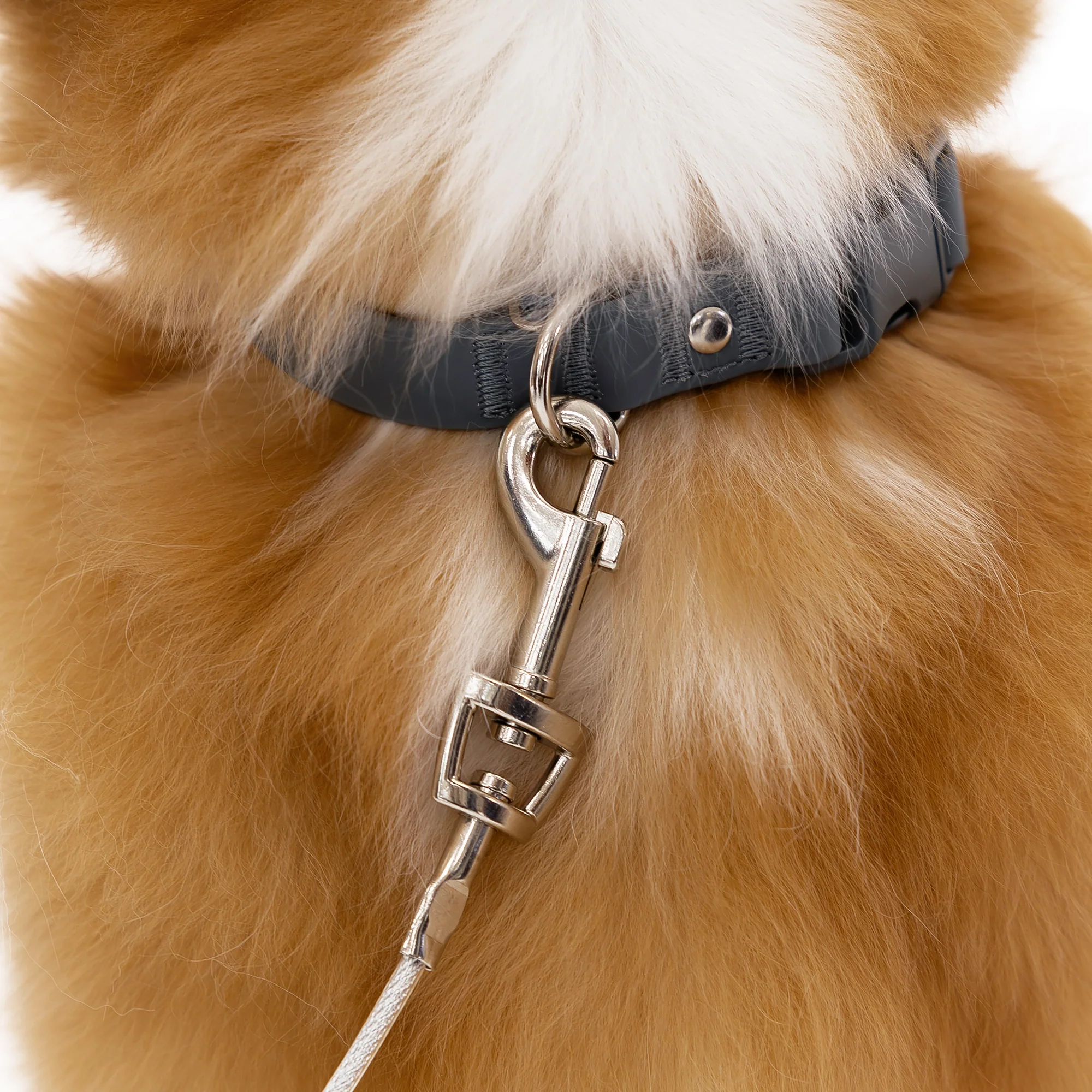 Medium Dog Tie-Out Cable - Image 6