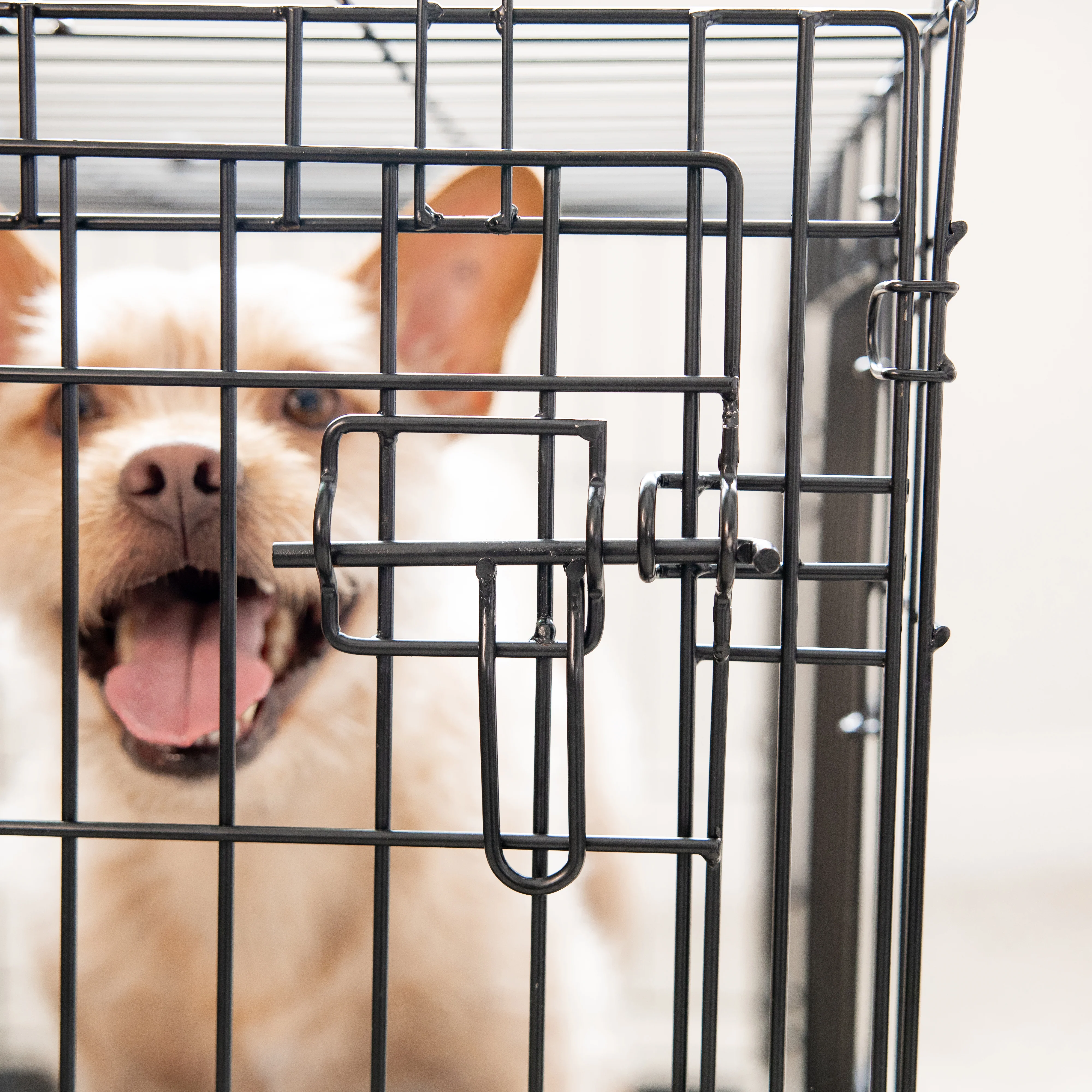 Medium Double-Door Dog Crate - Image 14