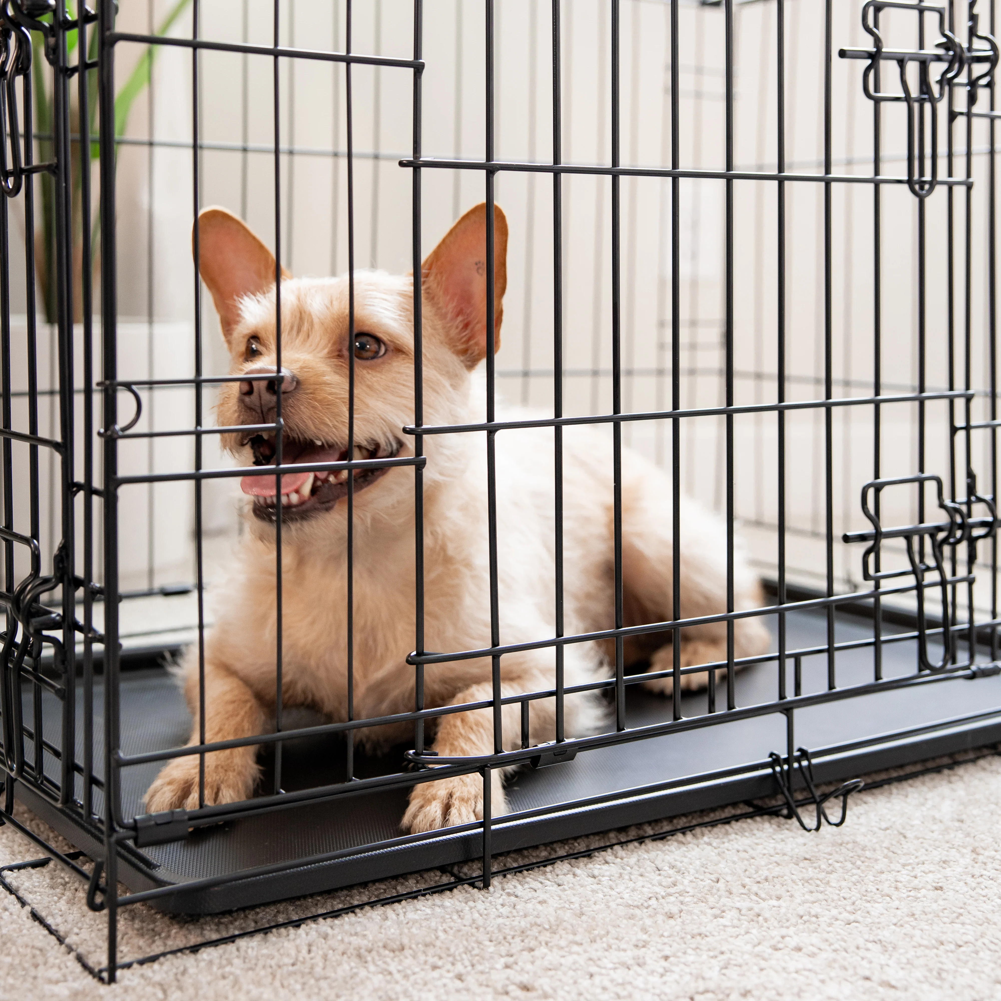 Medium Double-Door Dog Crate - Image 15