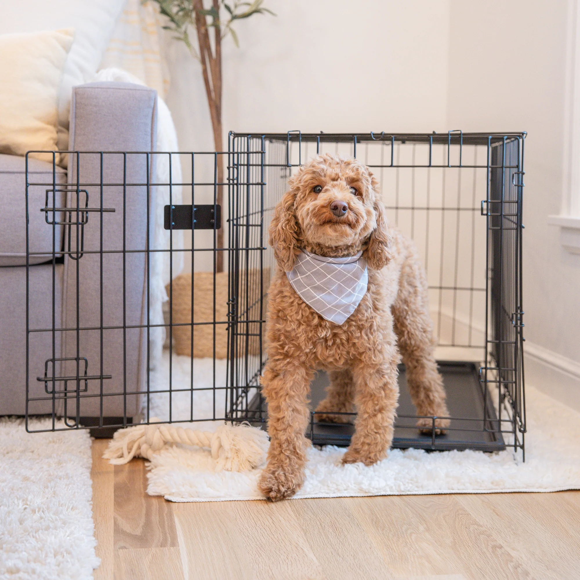 Medium Single-Door Dog Crate - Image 12