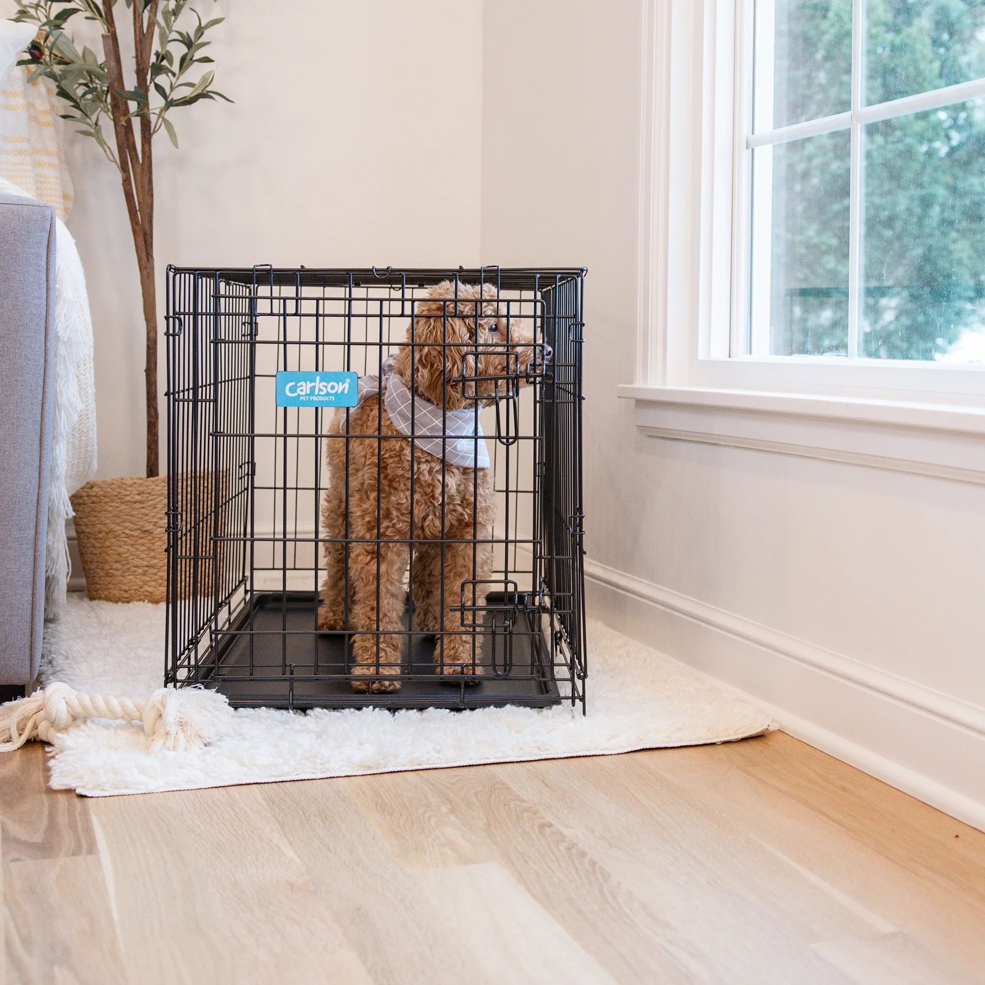 Medium Single-Door Dog Crate - Image 13