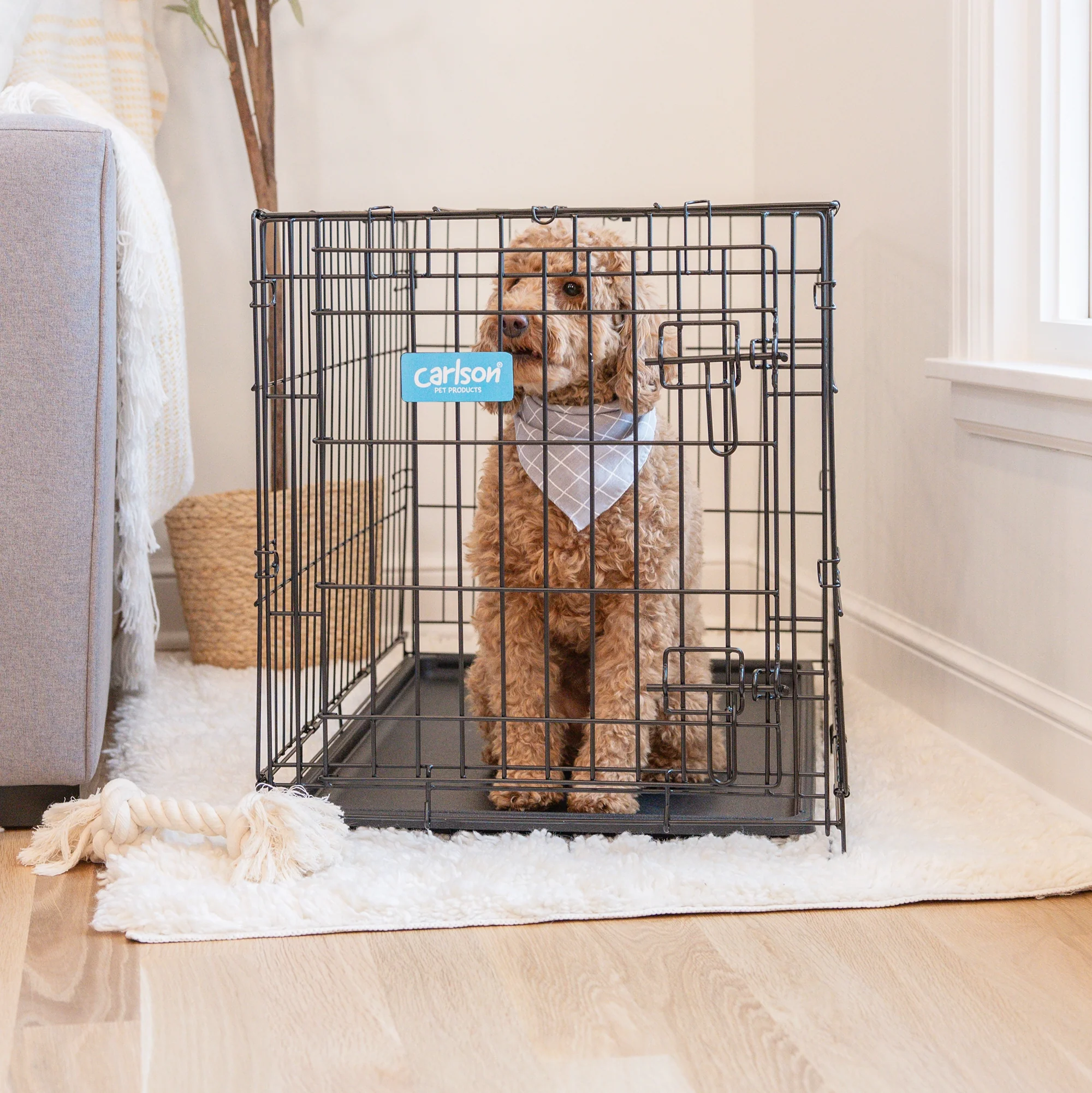 Medium Single-Door Dog Crate - Image 14