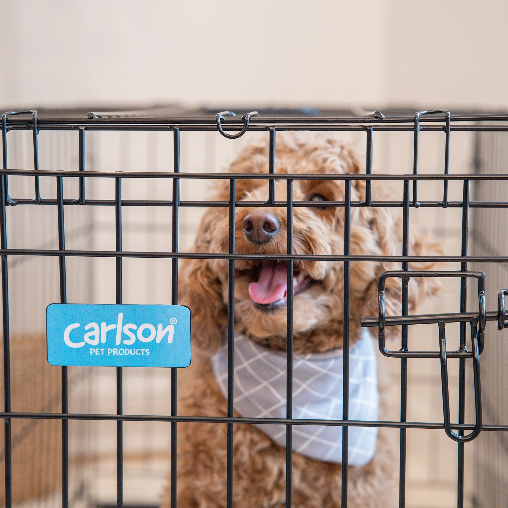 Medium Single-Door Dog Crate - Image 15