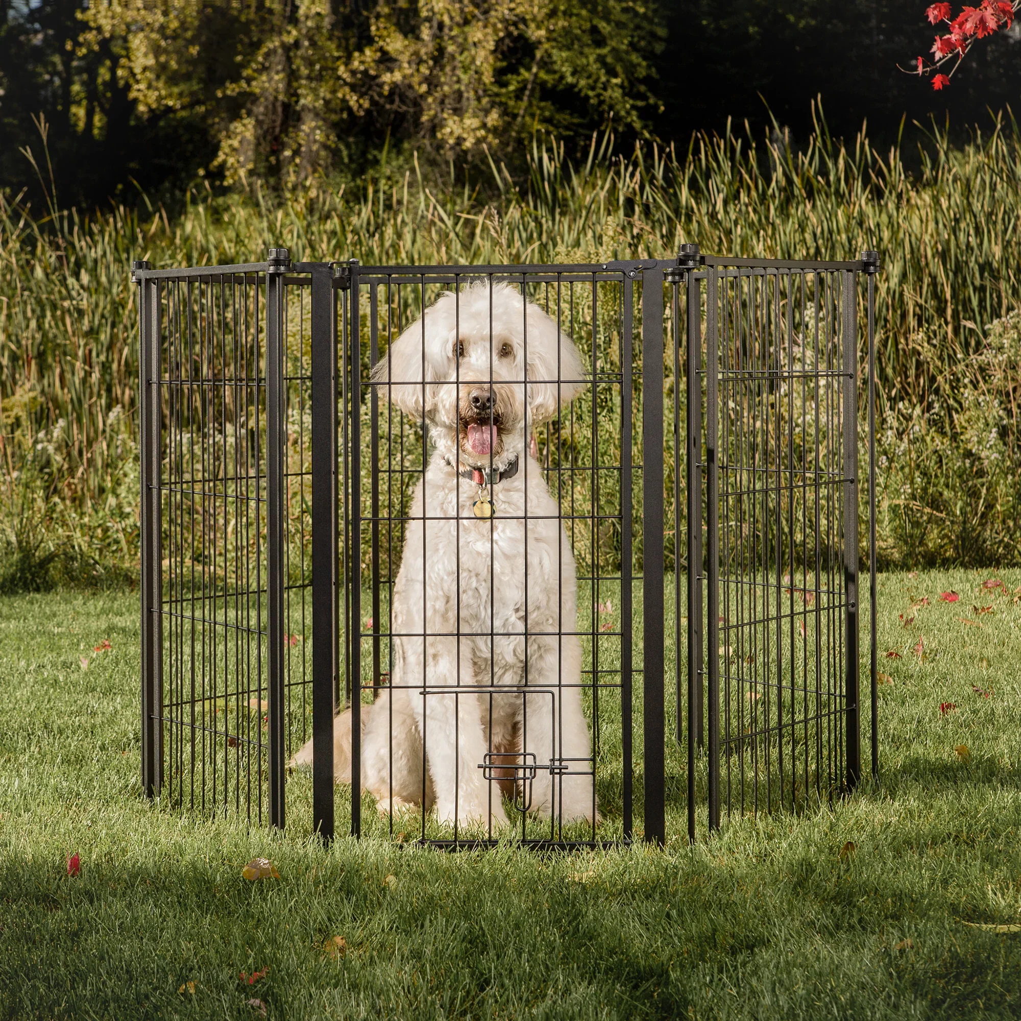 Outdoor Extra Tall Super Wide Pet Pen & Gate - Image 4