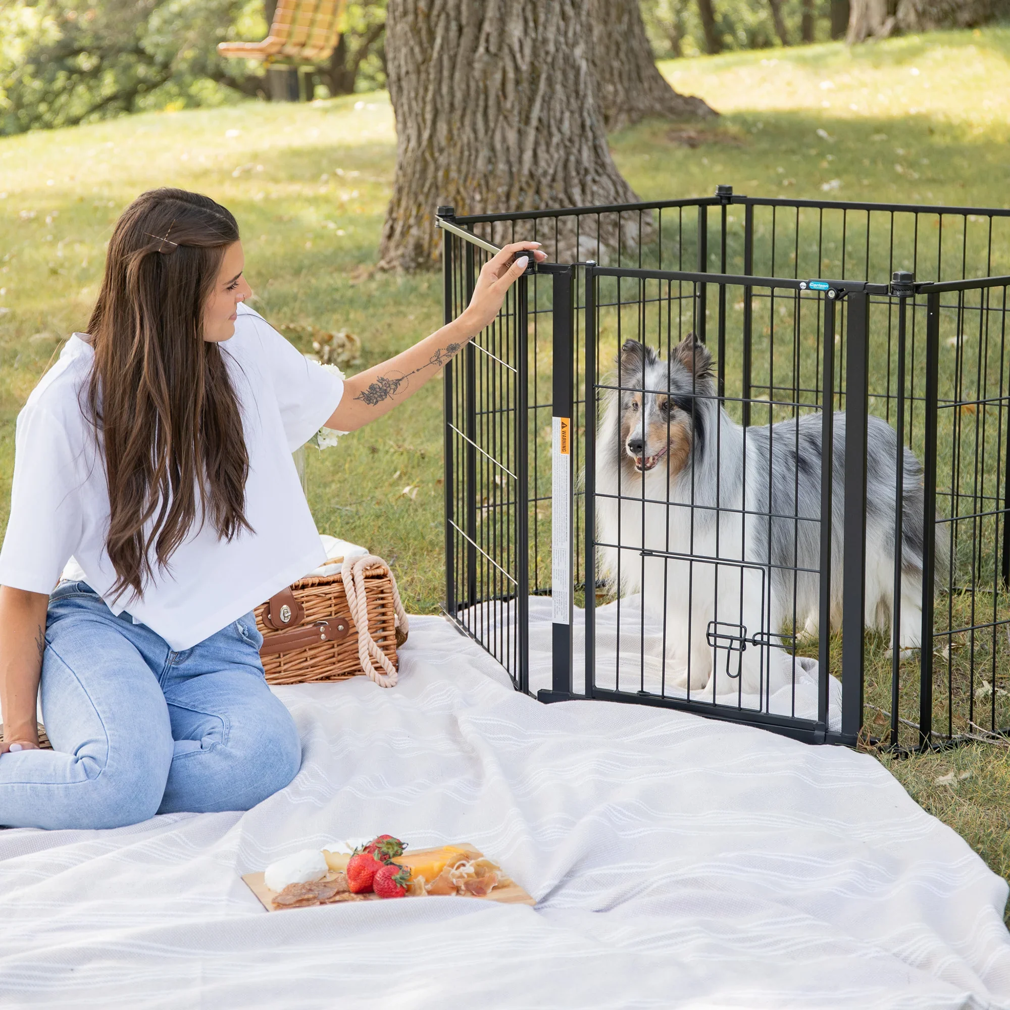 Outdoor Super Wide Pet Pen & Gate - Image 5