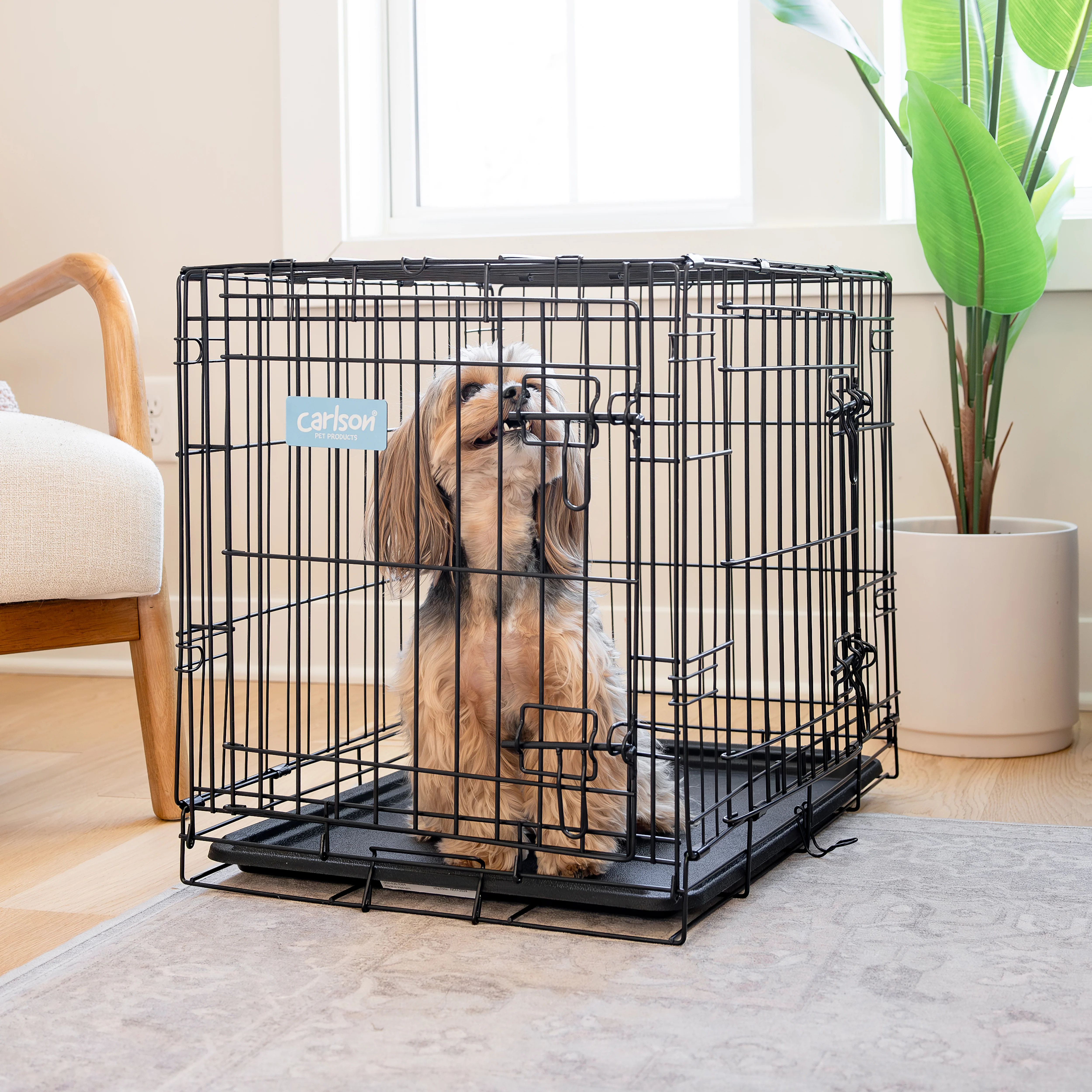Small Double-Door Dog Crate - Image 15