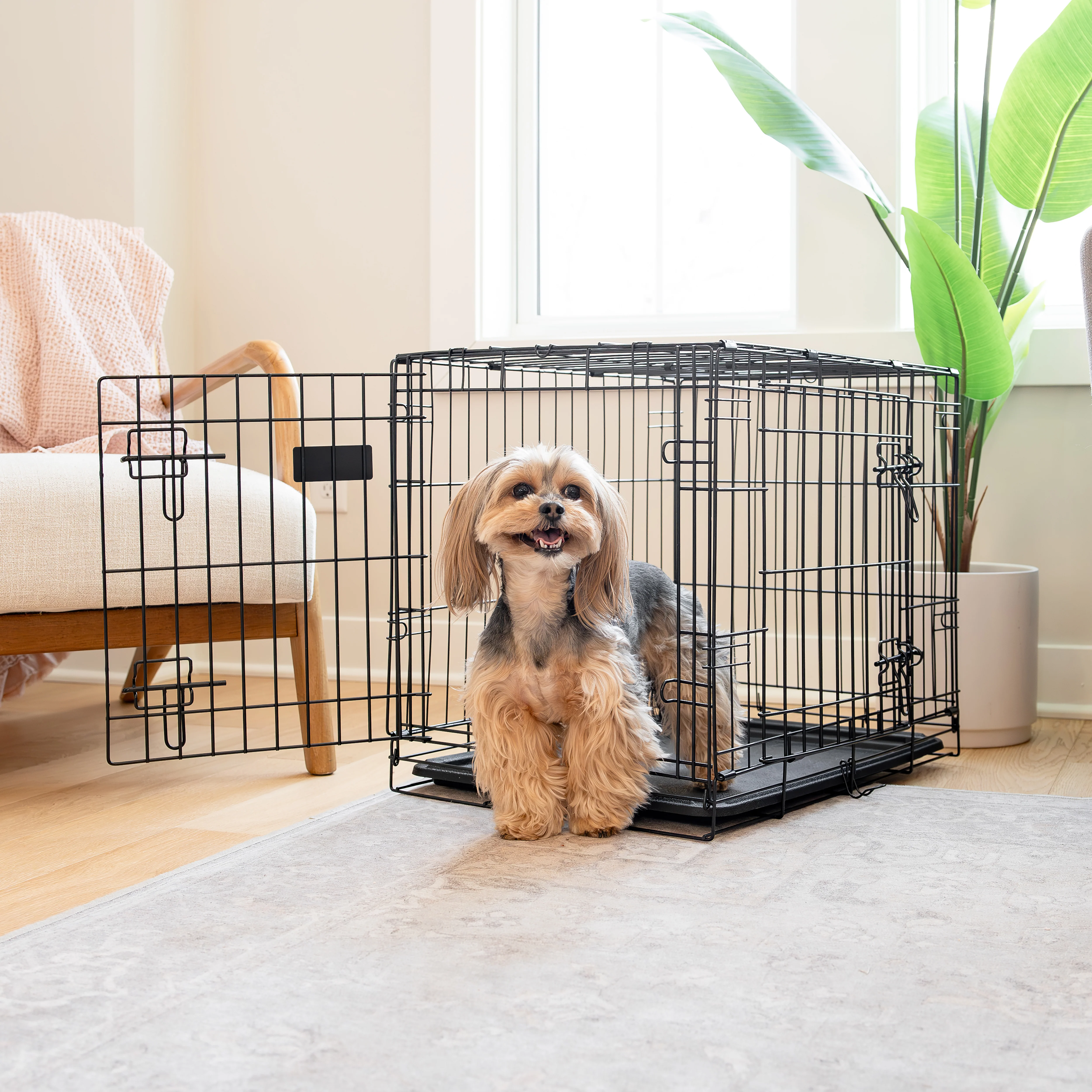 Small Double-Door Dog Crate - Image 16