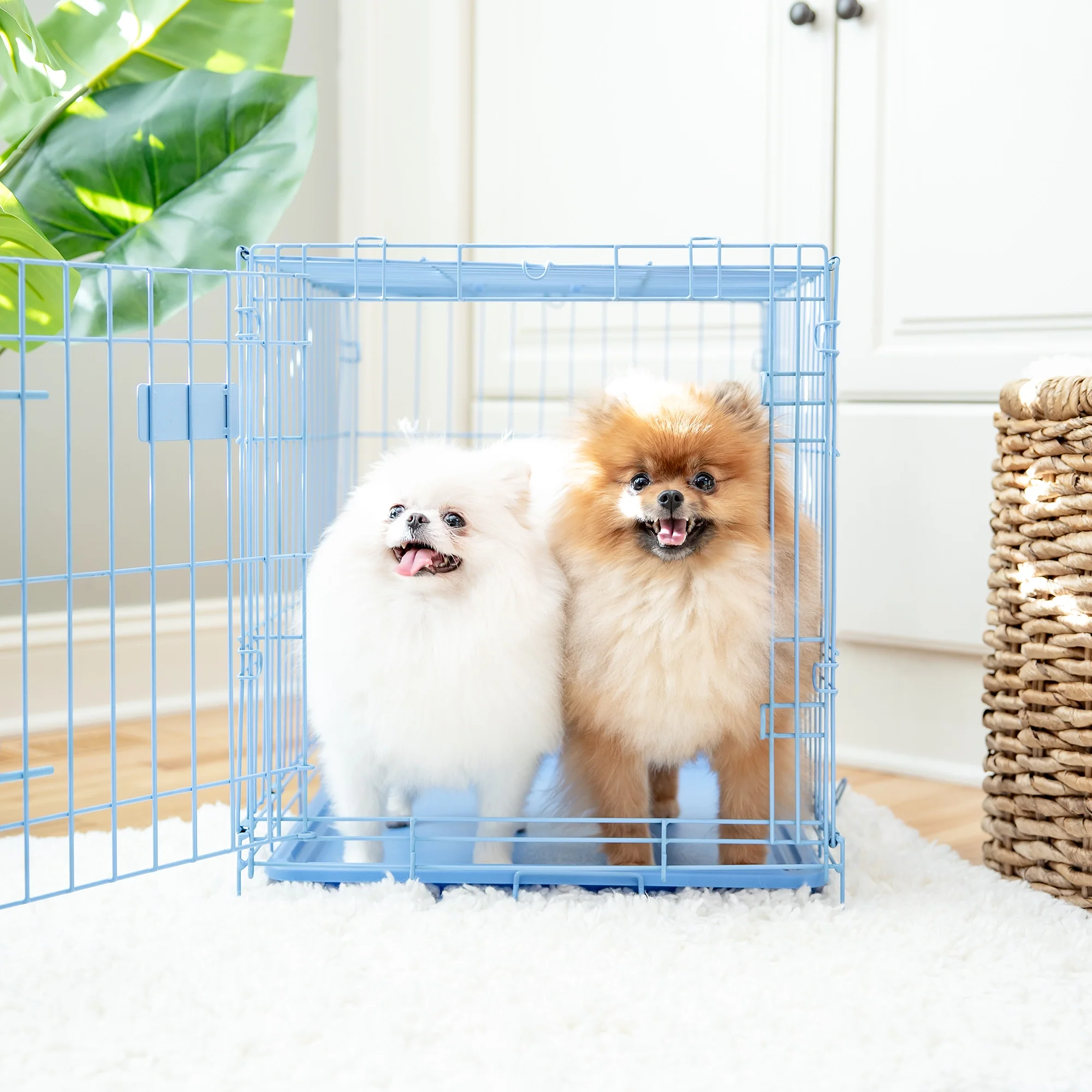 Small Single-Door Dog Crate - Image 12