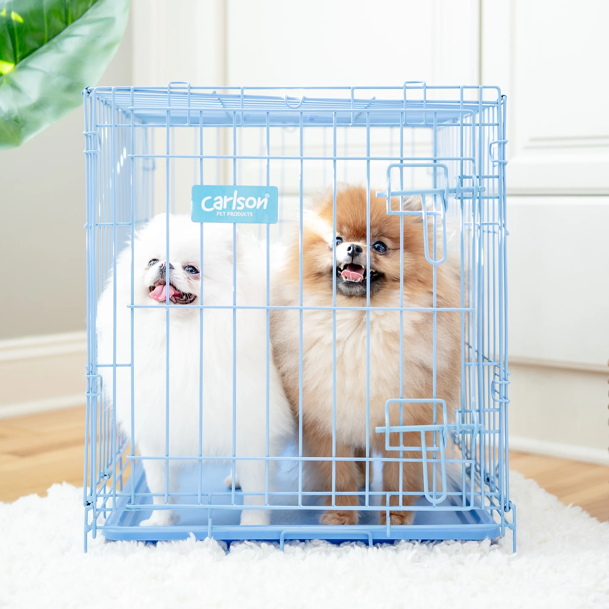 Small Single-Door Dog Crate - Image 15