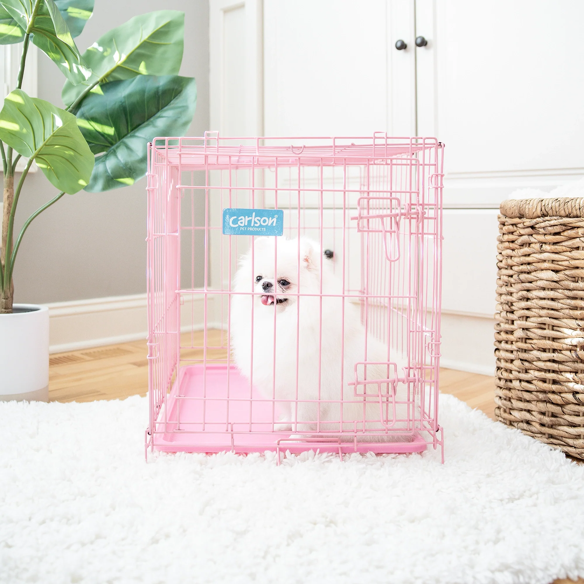 Small Single-Door Dog Crate - Image 11
