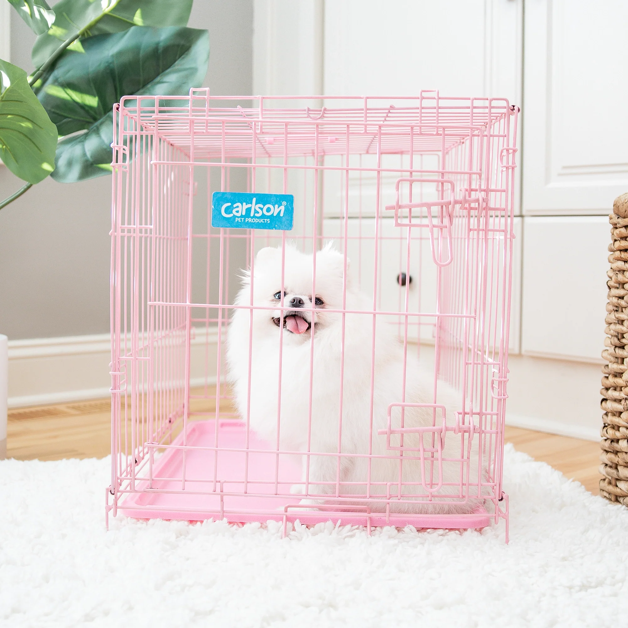 Small Single-Door Dog Crate - Image 14